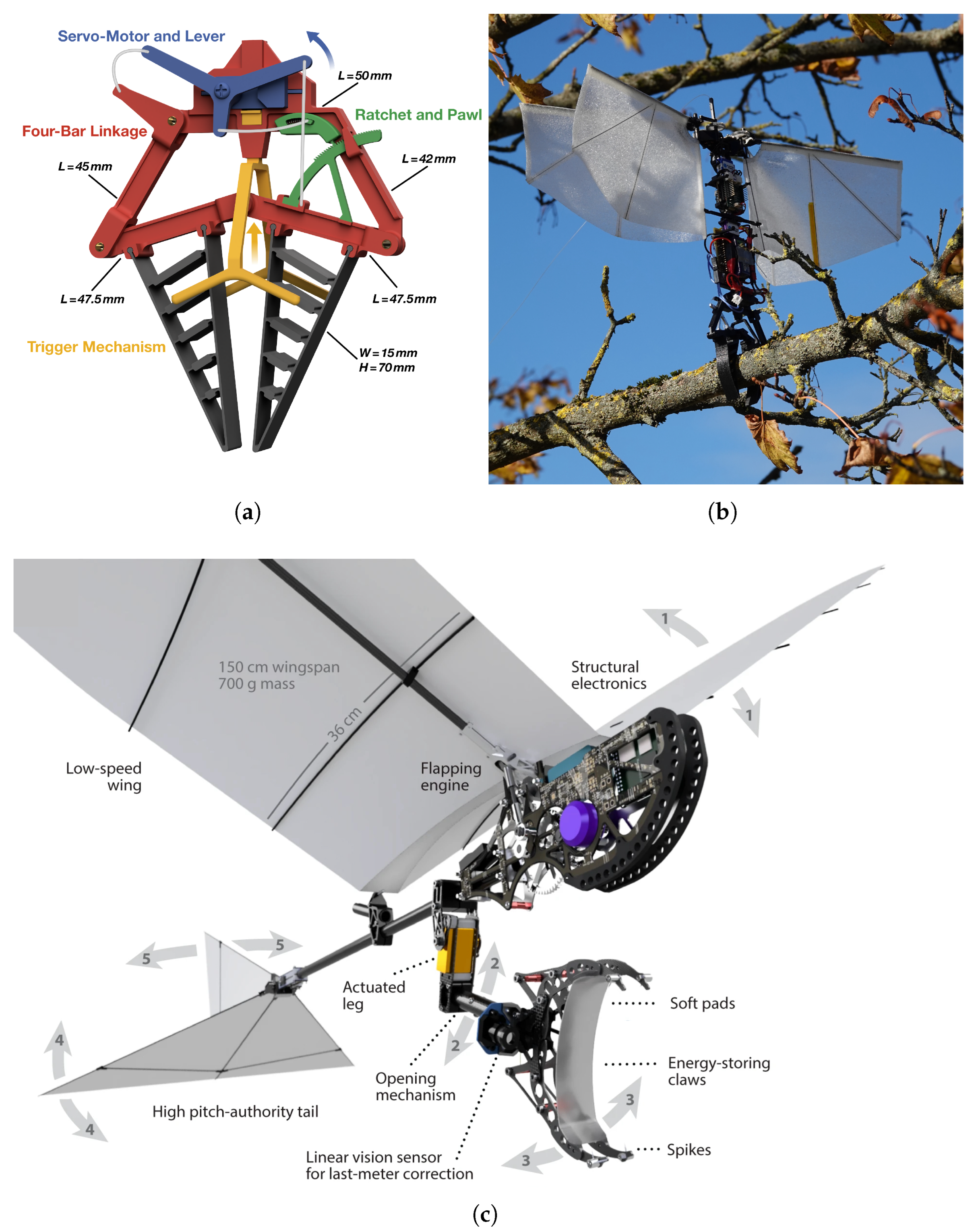 Preprints 170748 g002