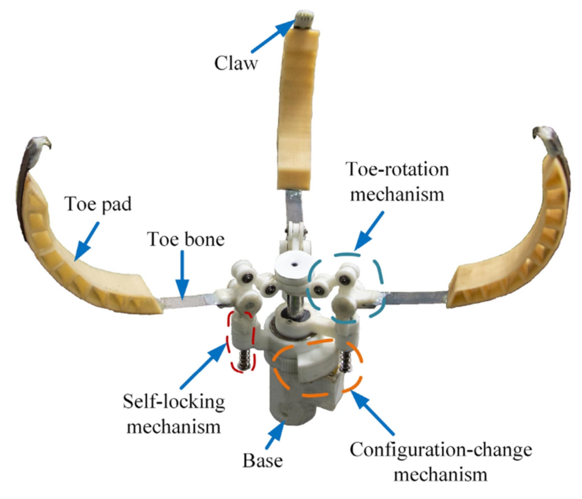 Preprints 170748 g004