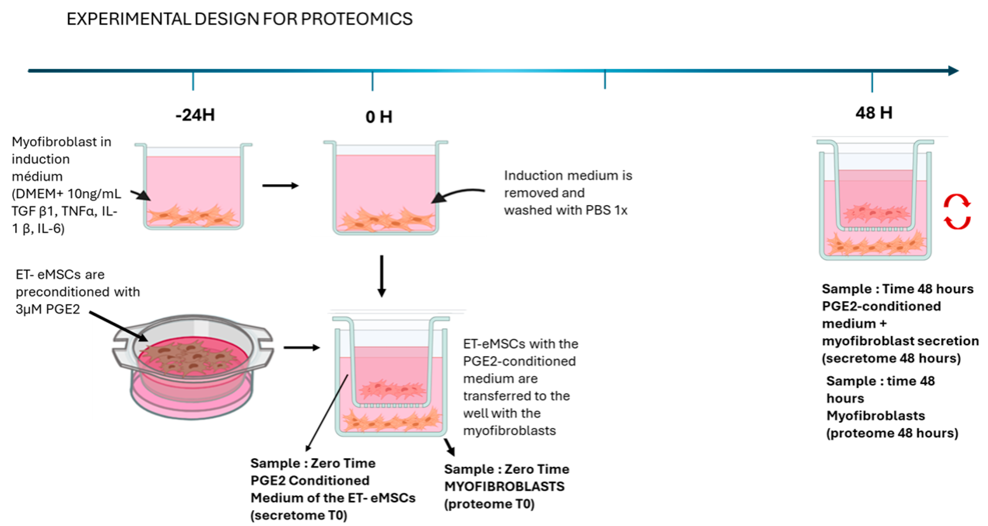 Preprints 166306 g001