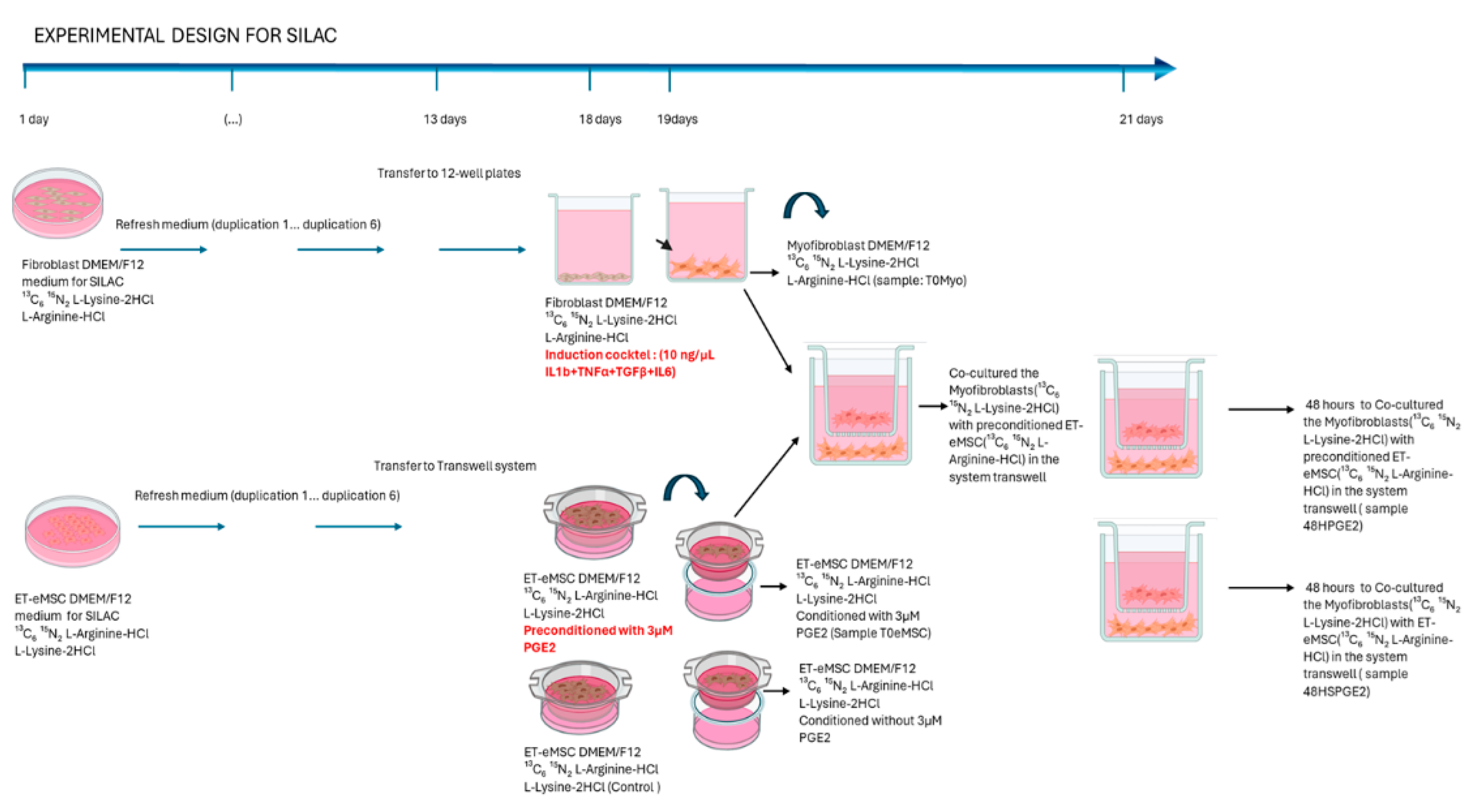 Preprints 166306 g002