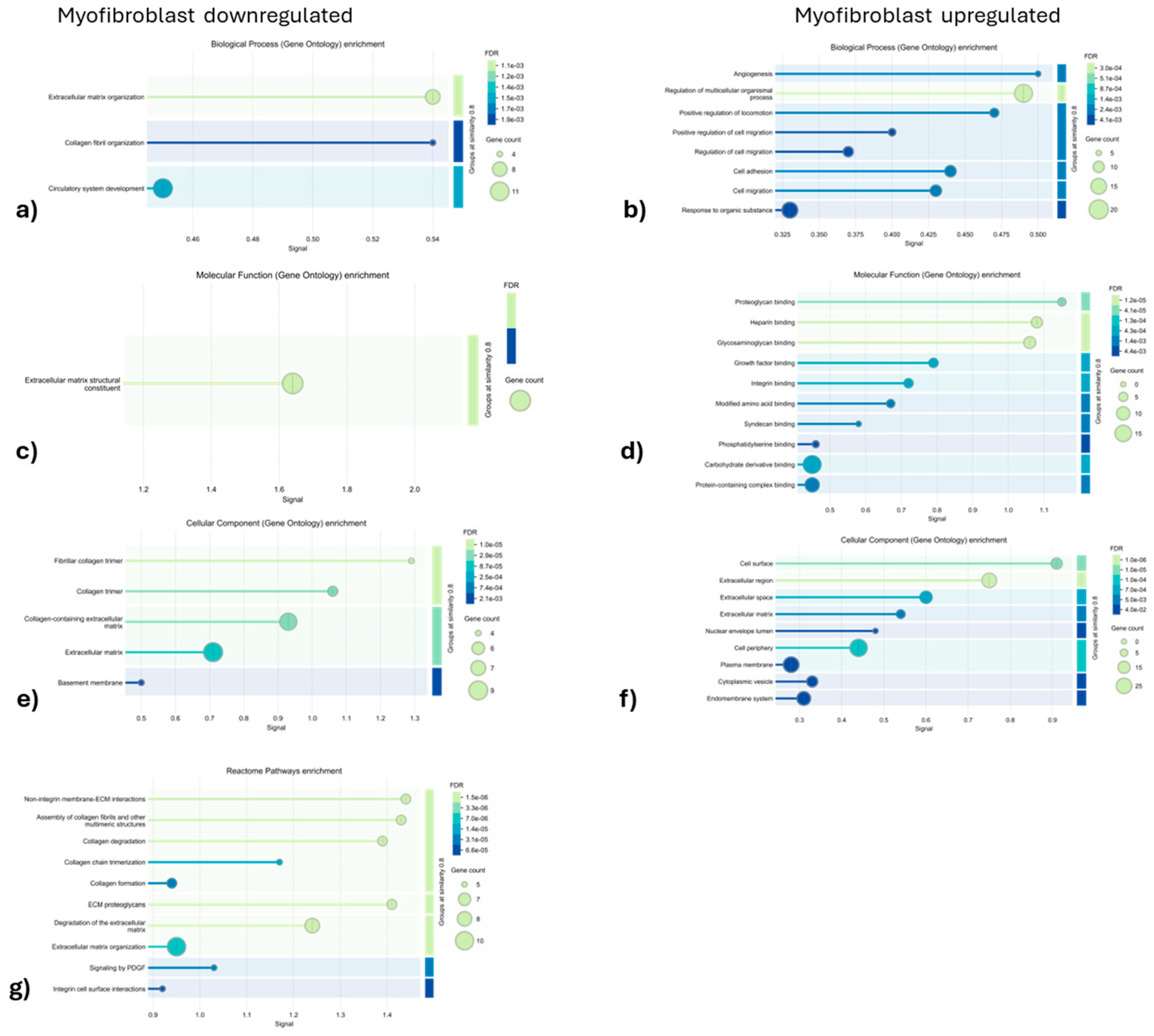 Preprints 166306 g007