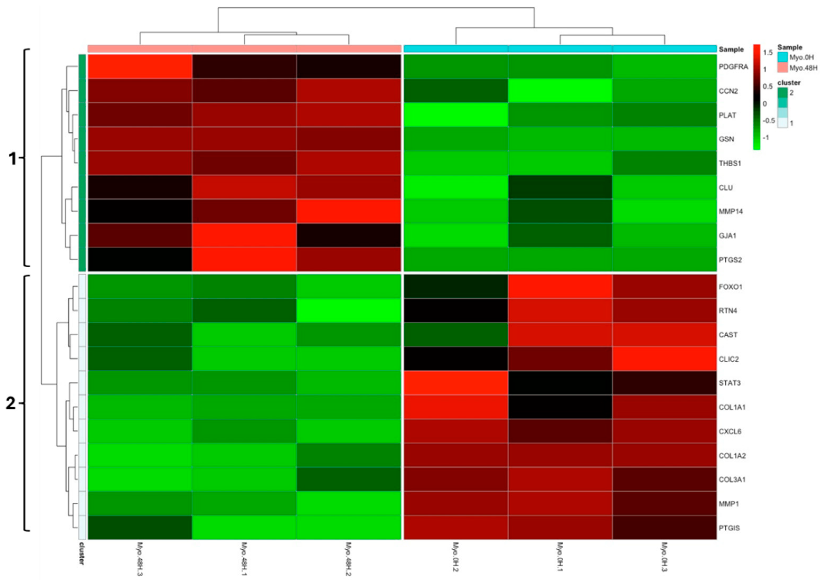 Preprints 166306 g008a