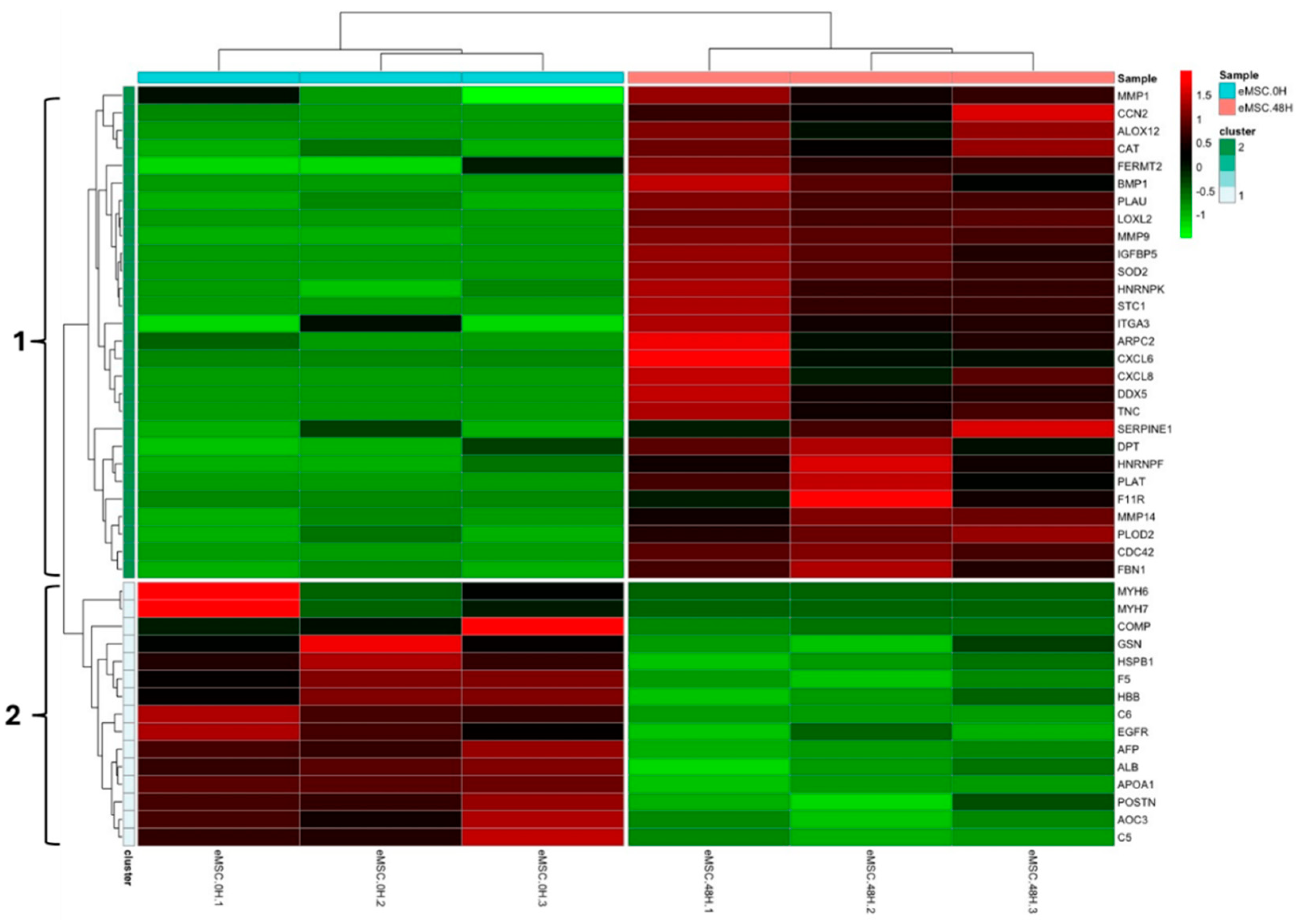 Preprints 166306 g008b