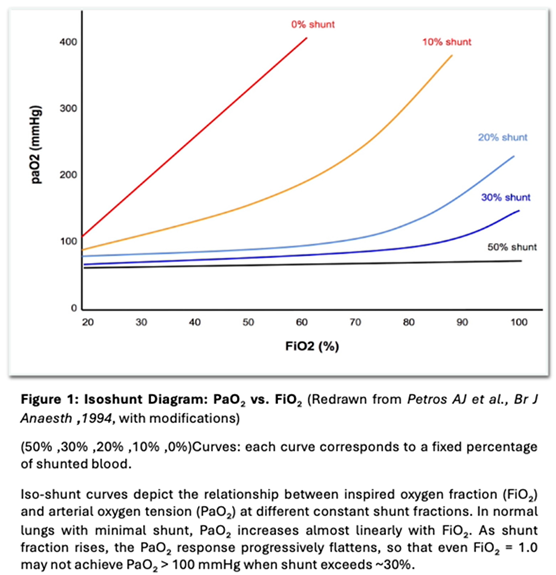 Preprints 174574 i001