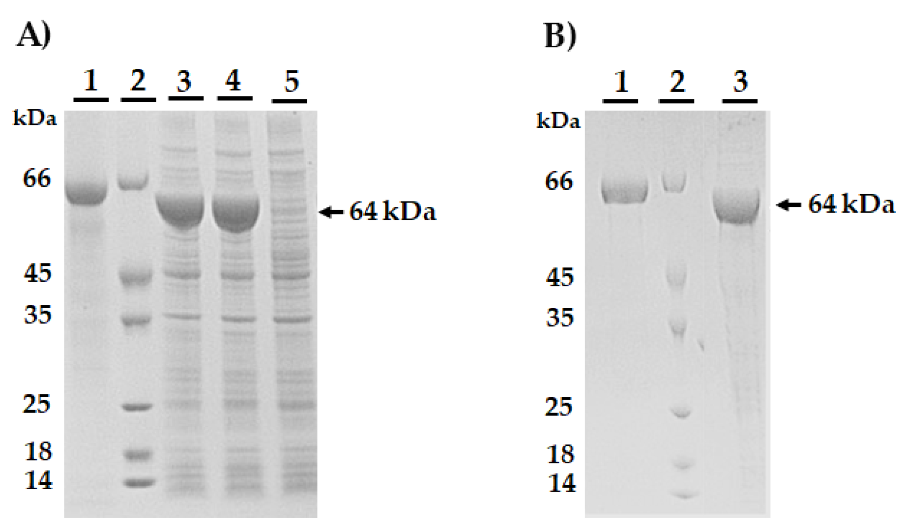 Preprints 173581 g002