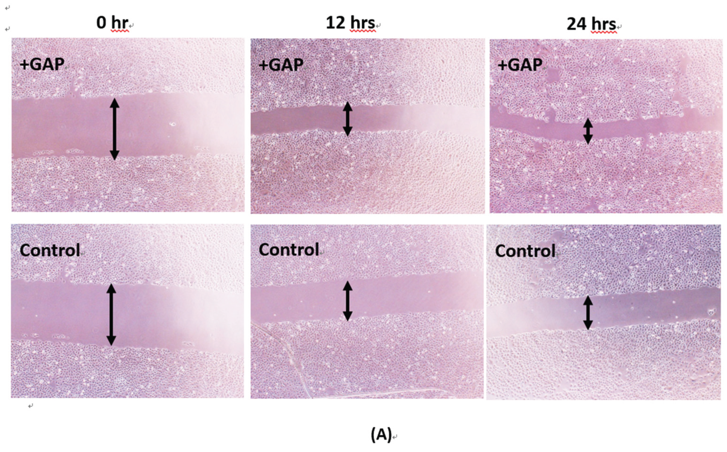 Preprints 205757 g001a