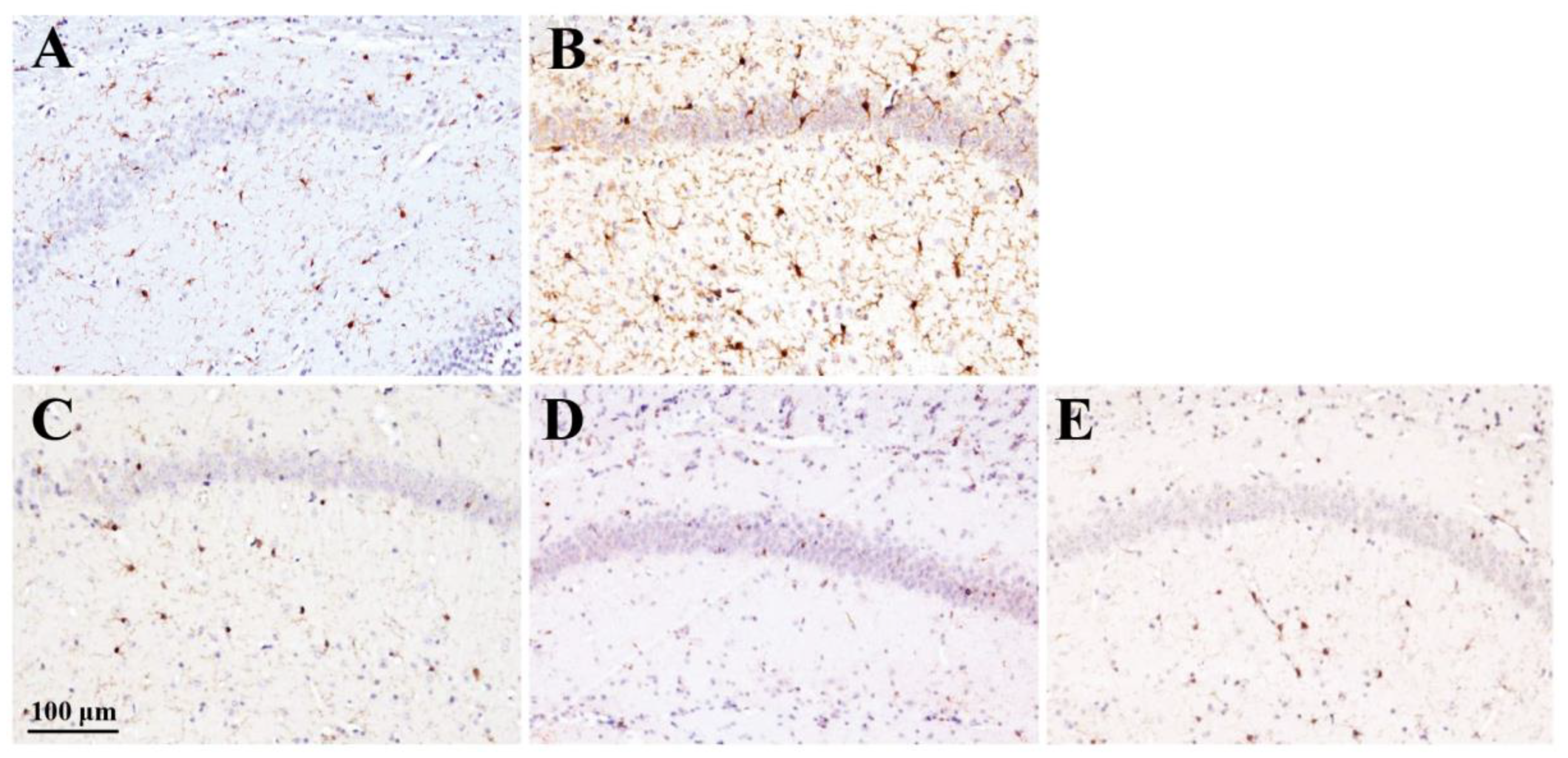 Preprints 150895 g007