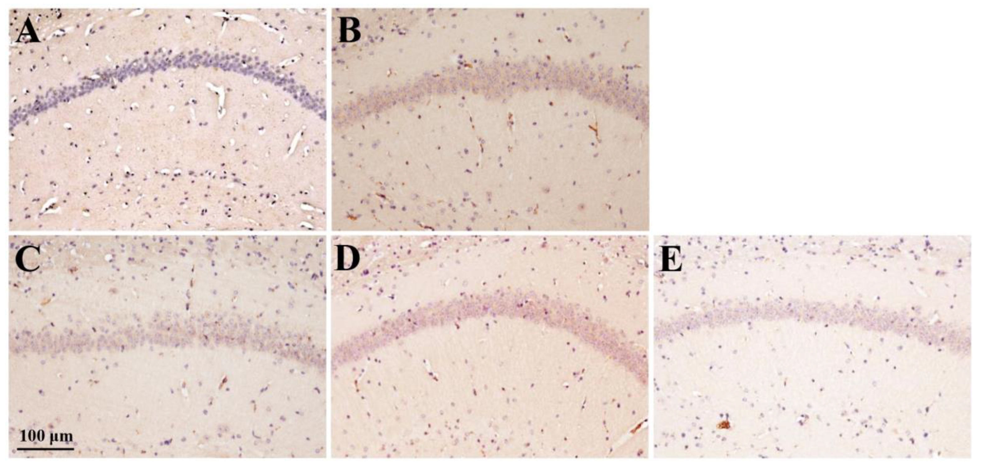 Preprints 150895 g008
