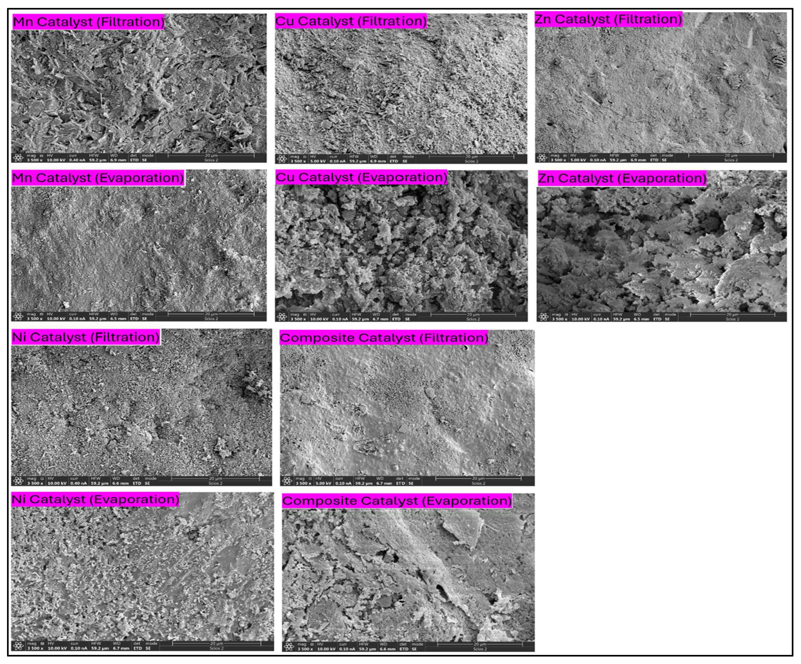 Preprints 207094 g004 Preprints 207094 g004