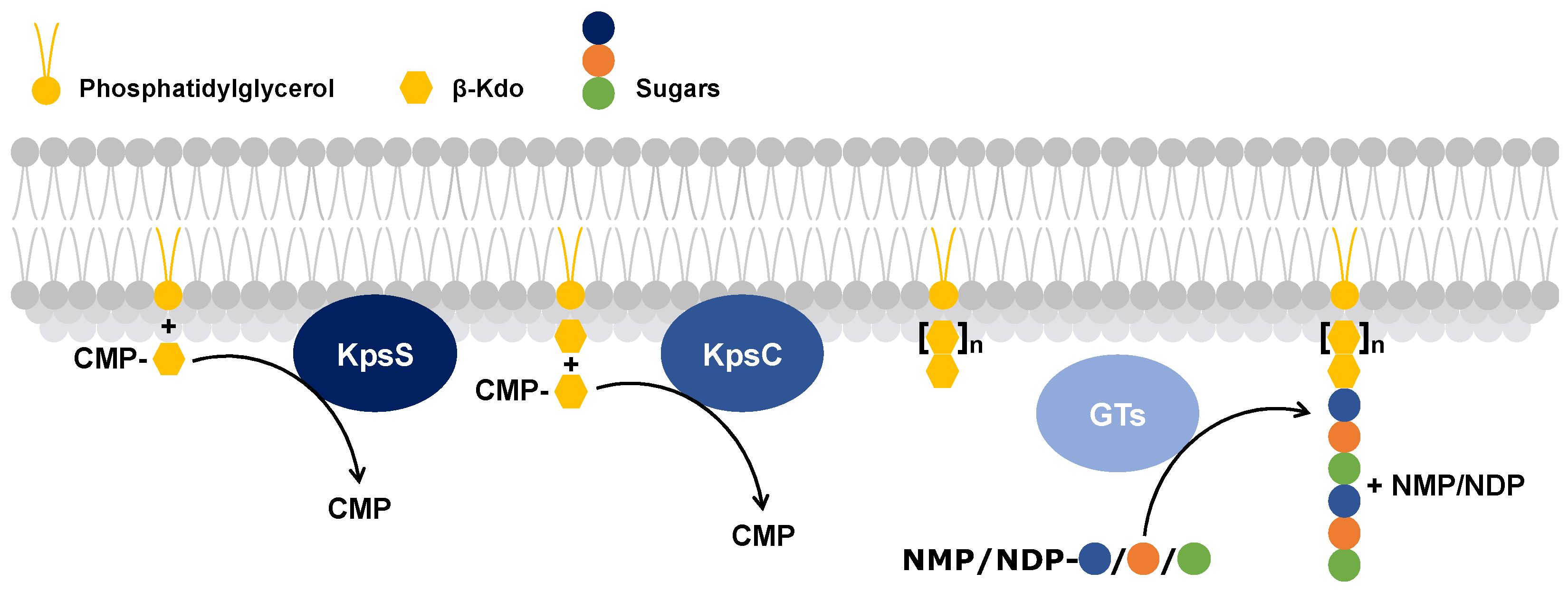 Preprints 154031 g003