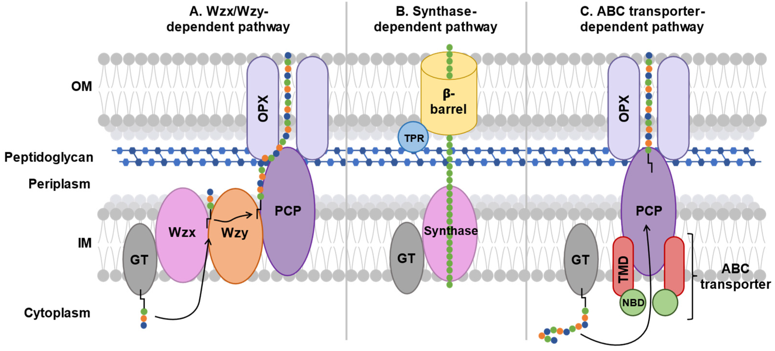 Preprints 154031 g004