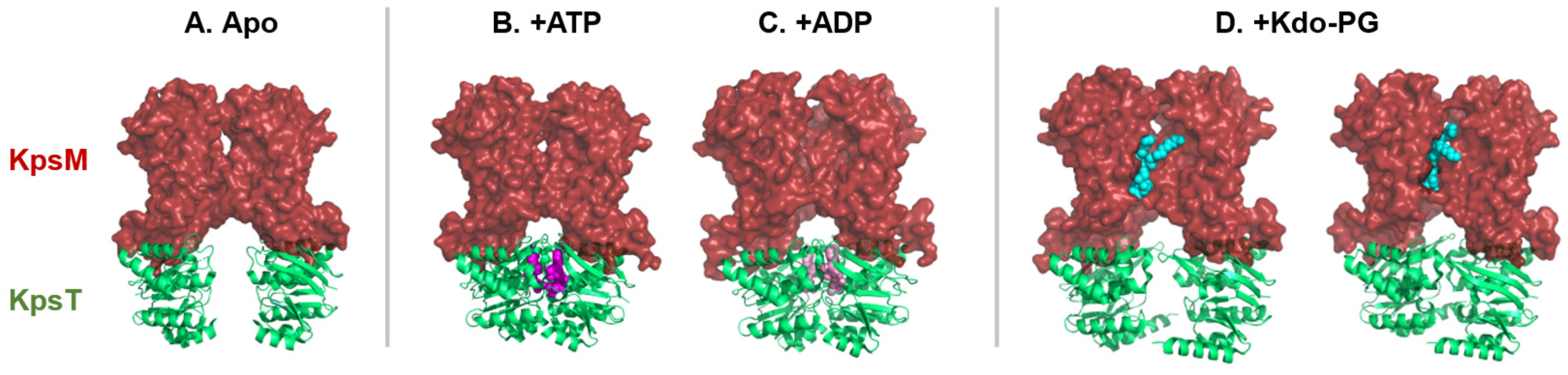 Preprints 154031 g005