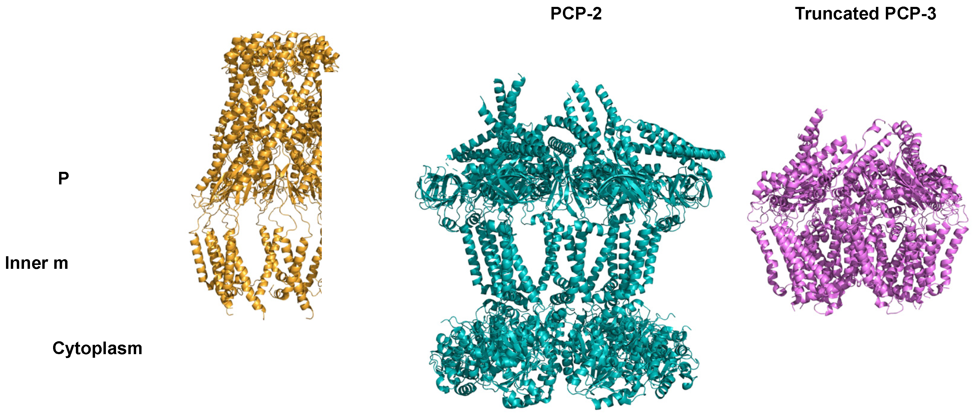 Preprints 154031 g006