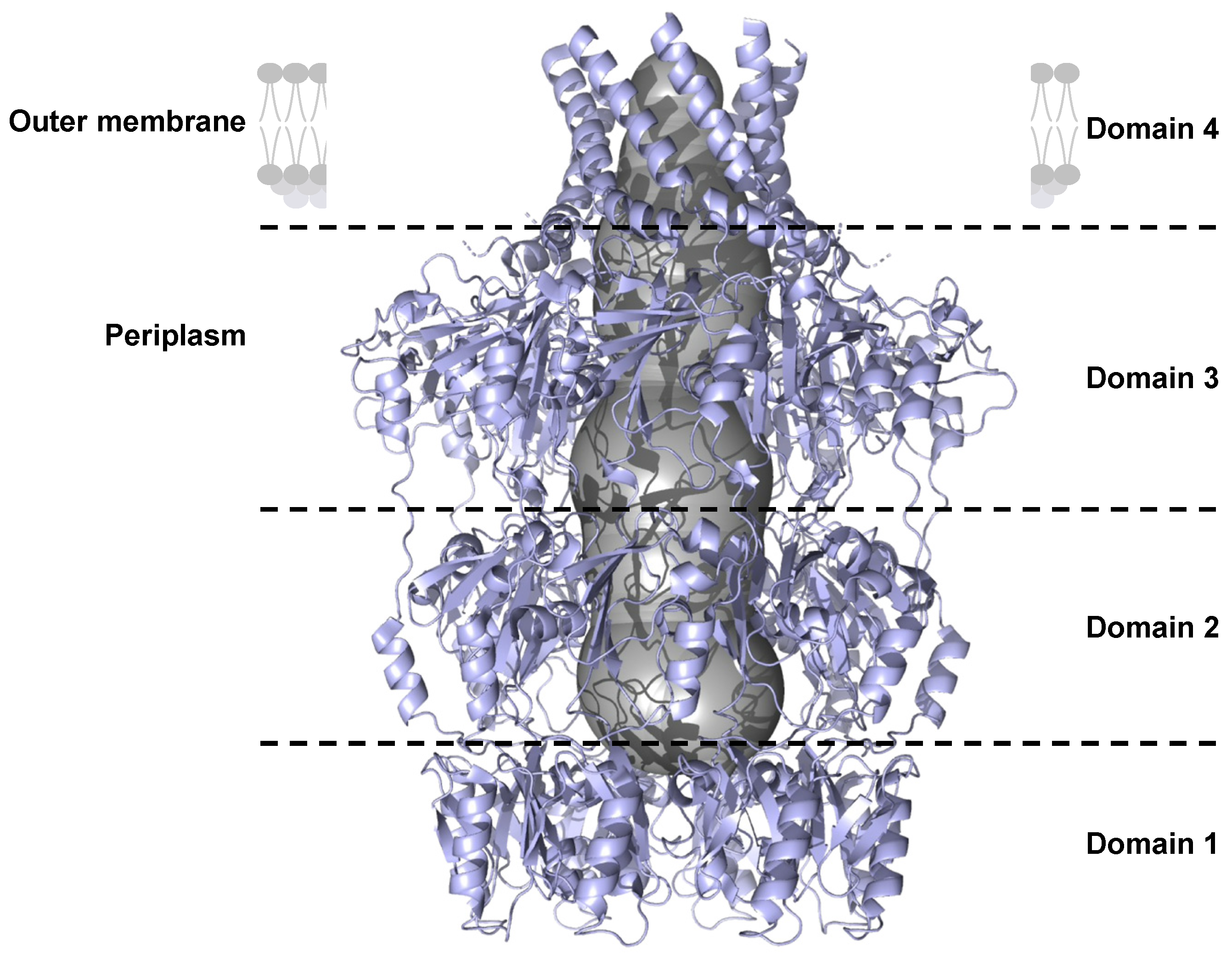 Preprints 154031 g007