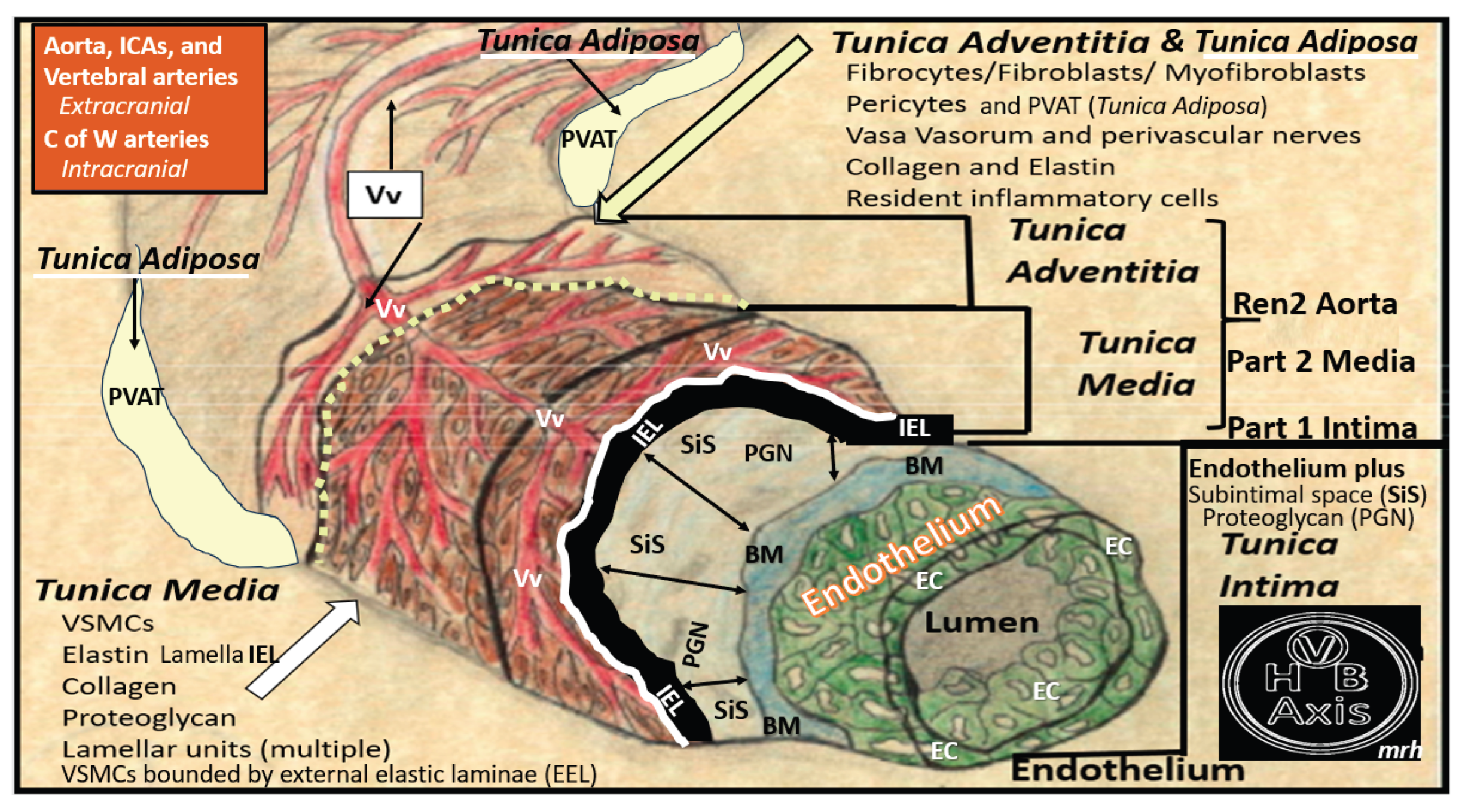 Preprints 171905 g006