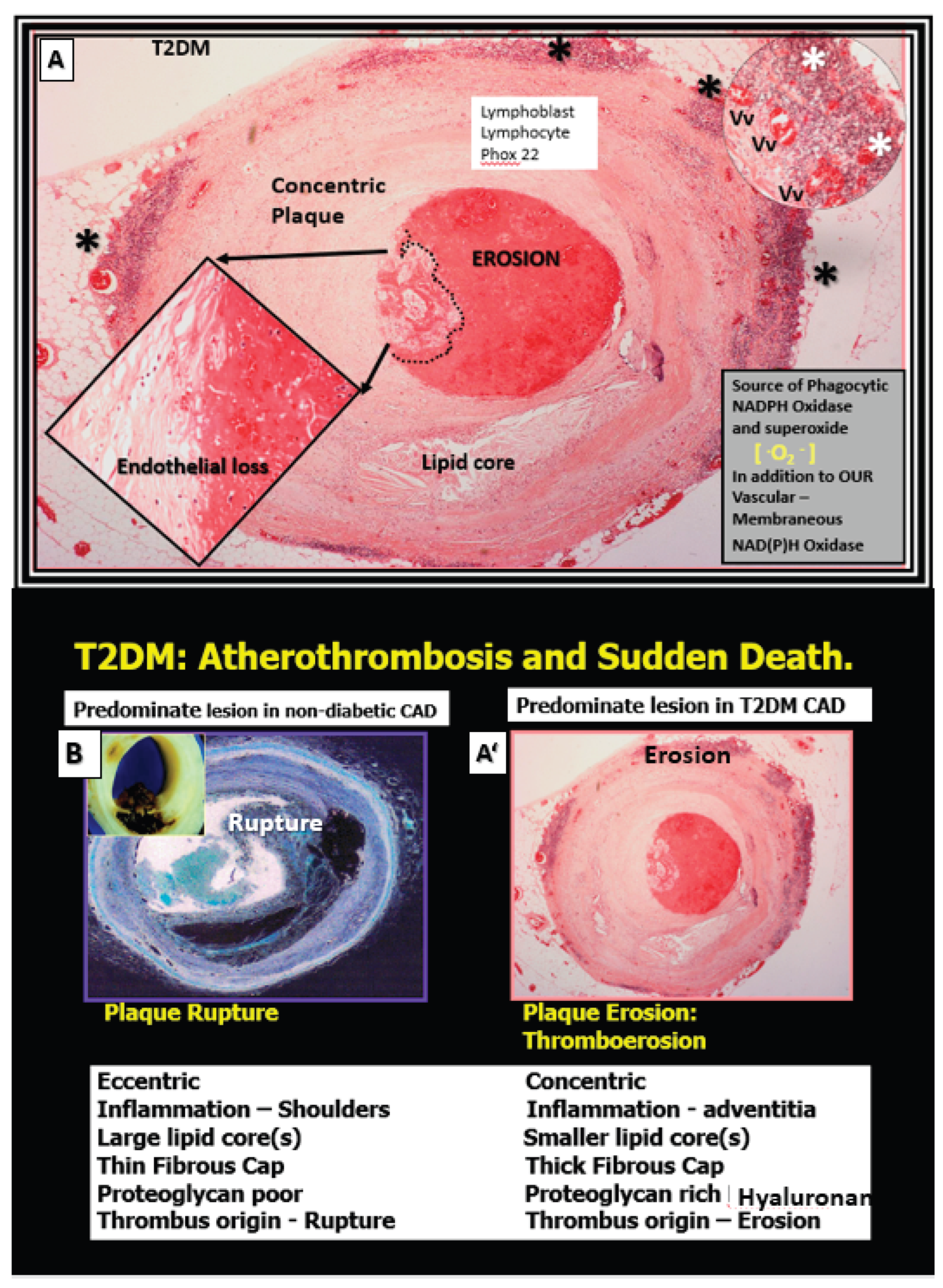 Preprints 171905 g007