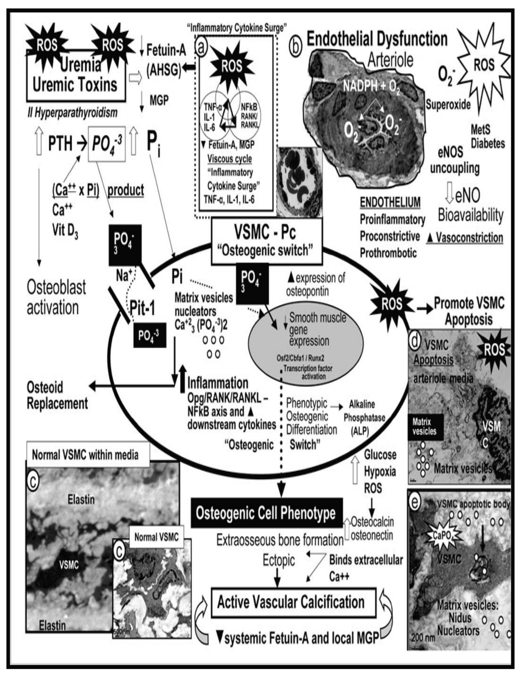 Preprints 171905 g008