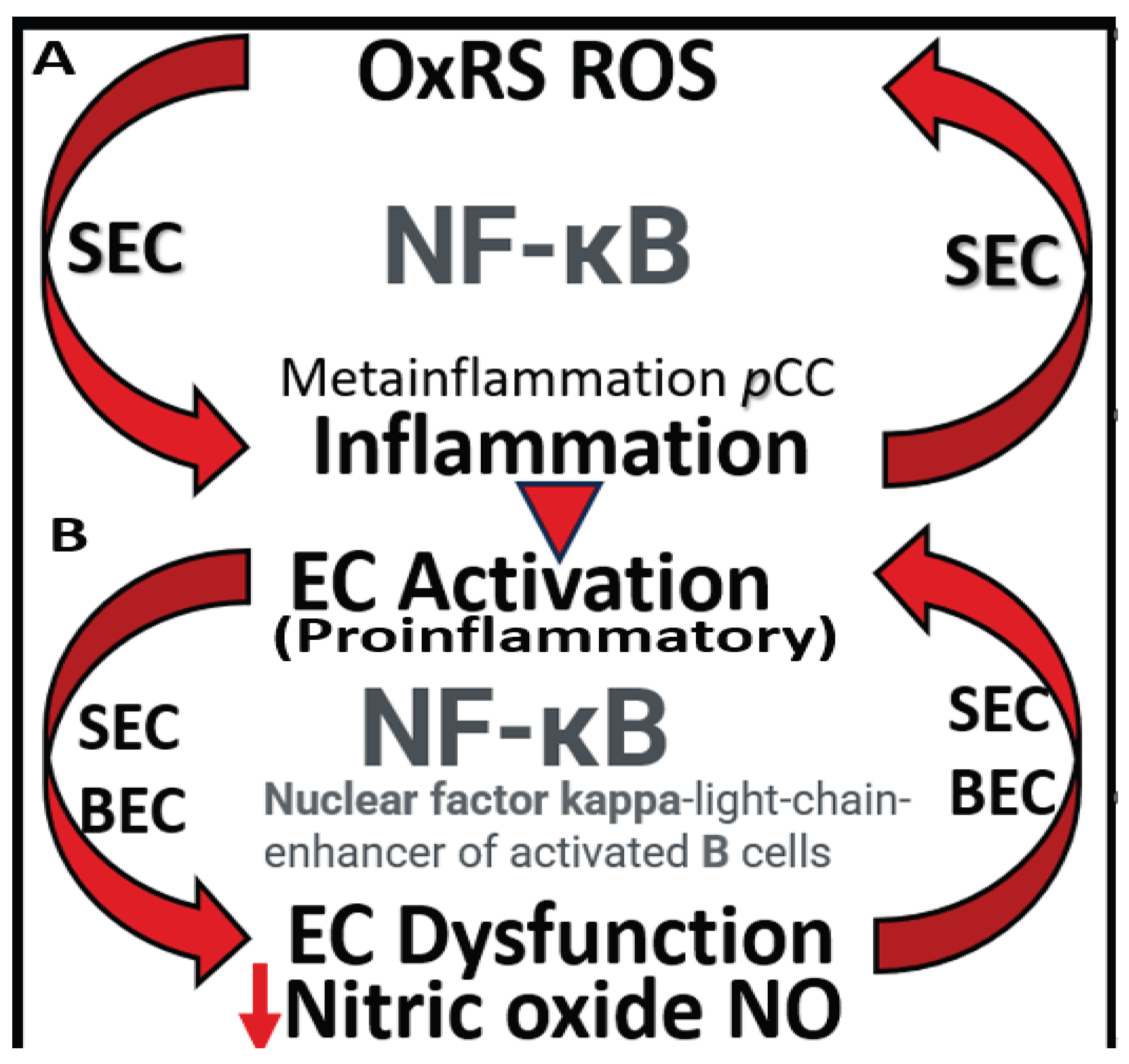 Preprints 171905 g009