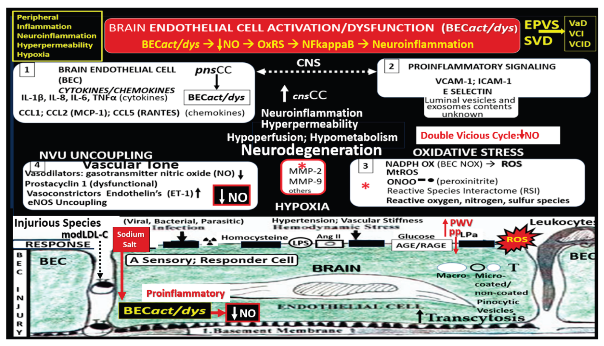 Preprints 171905 g010