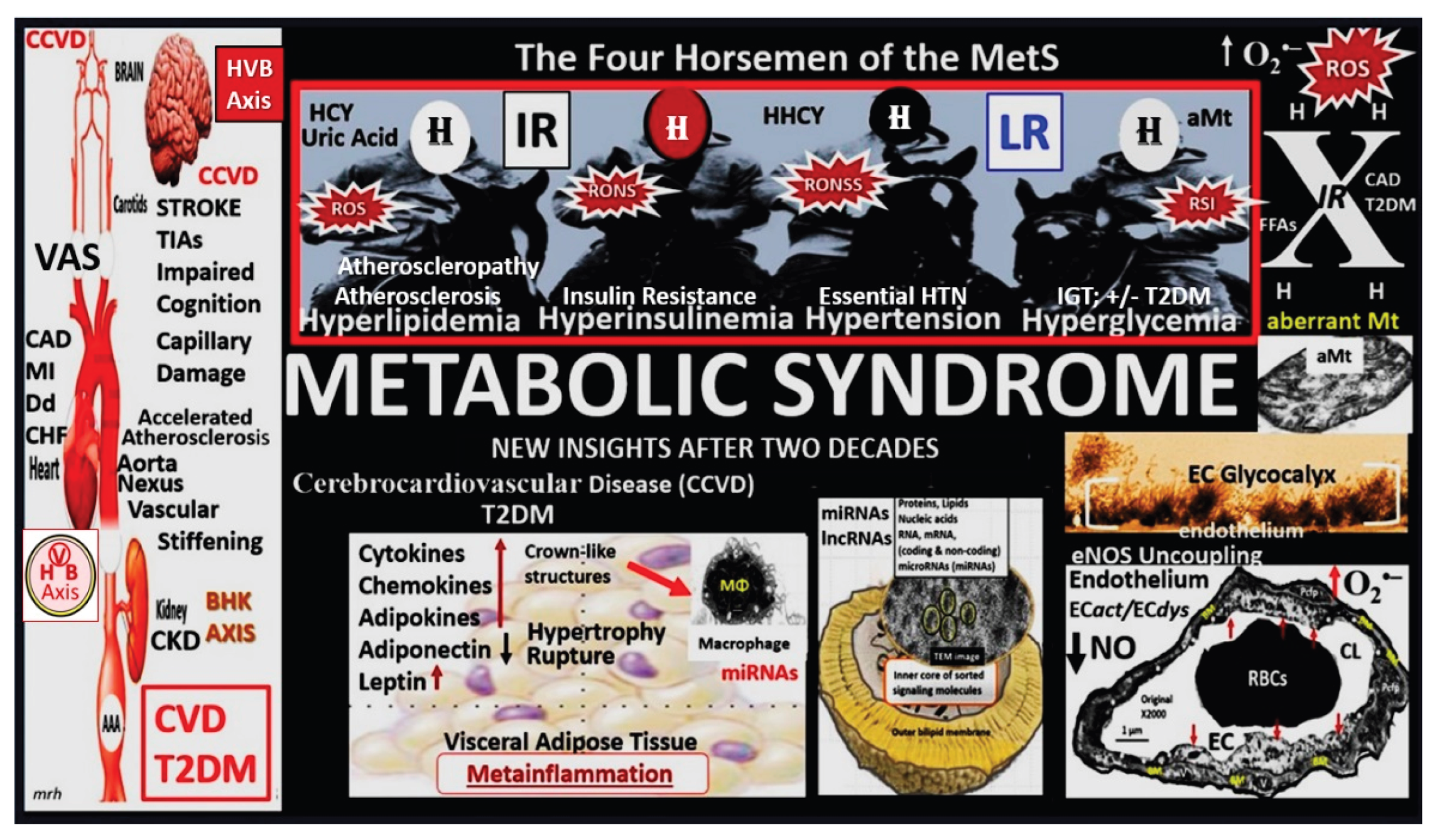 Preprints 171905 g012