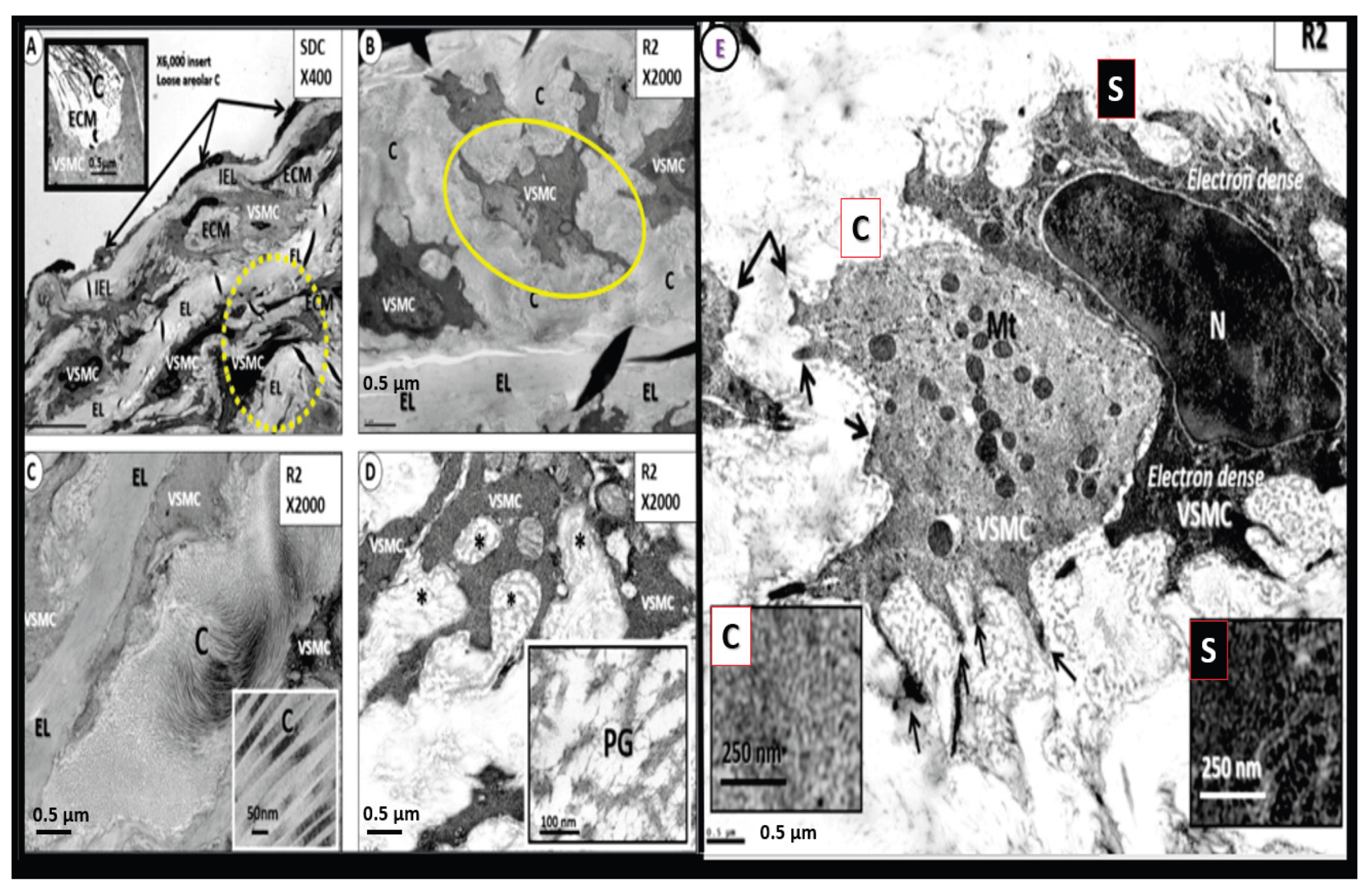 Preprints 171905 g013