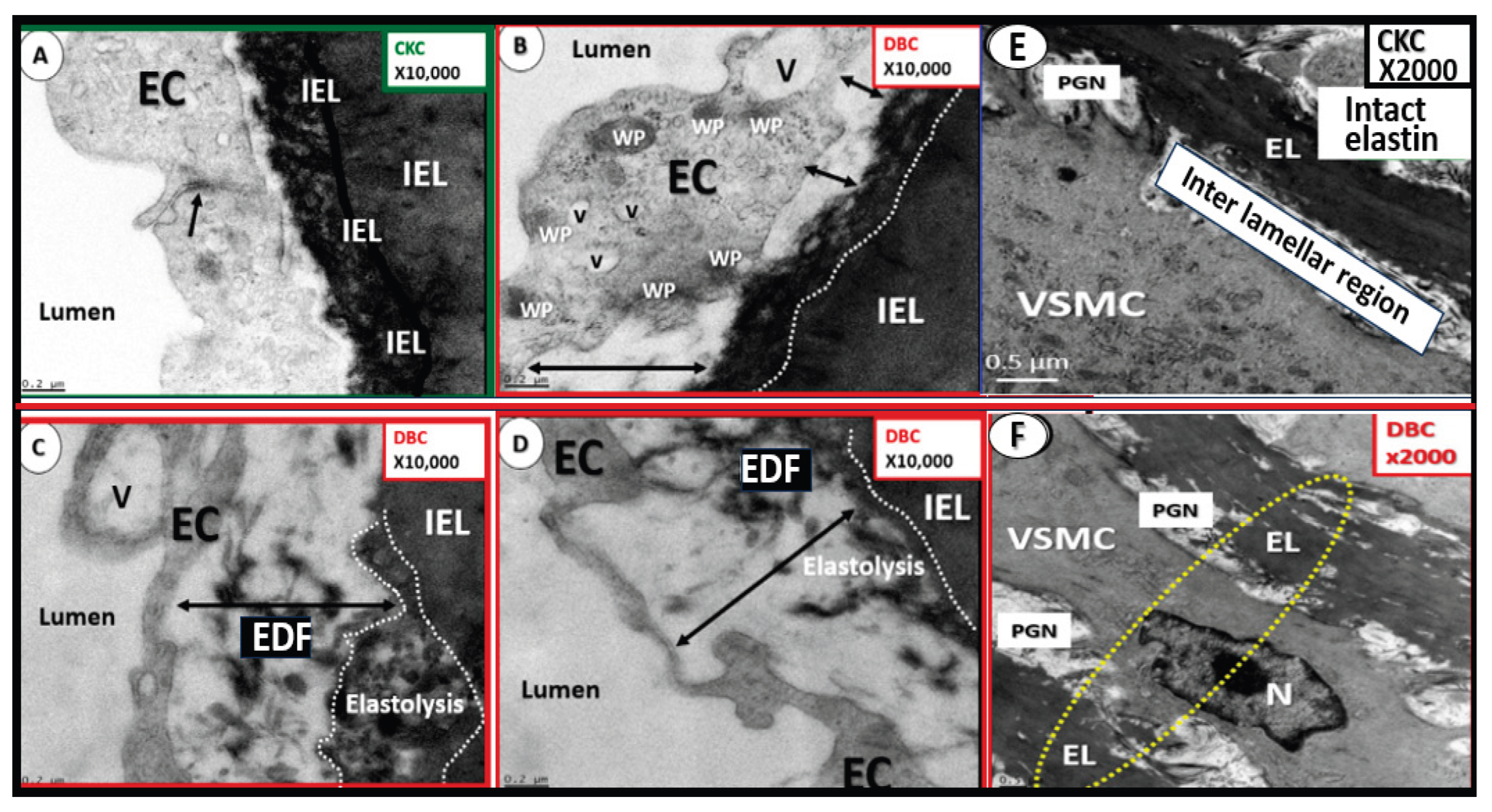 Preprints 171905 g014