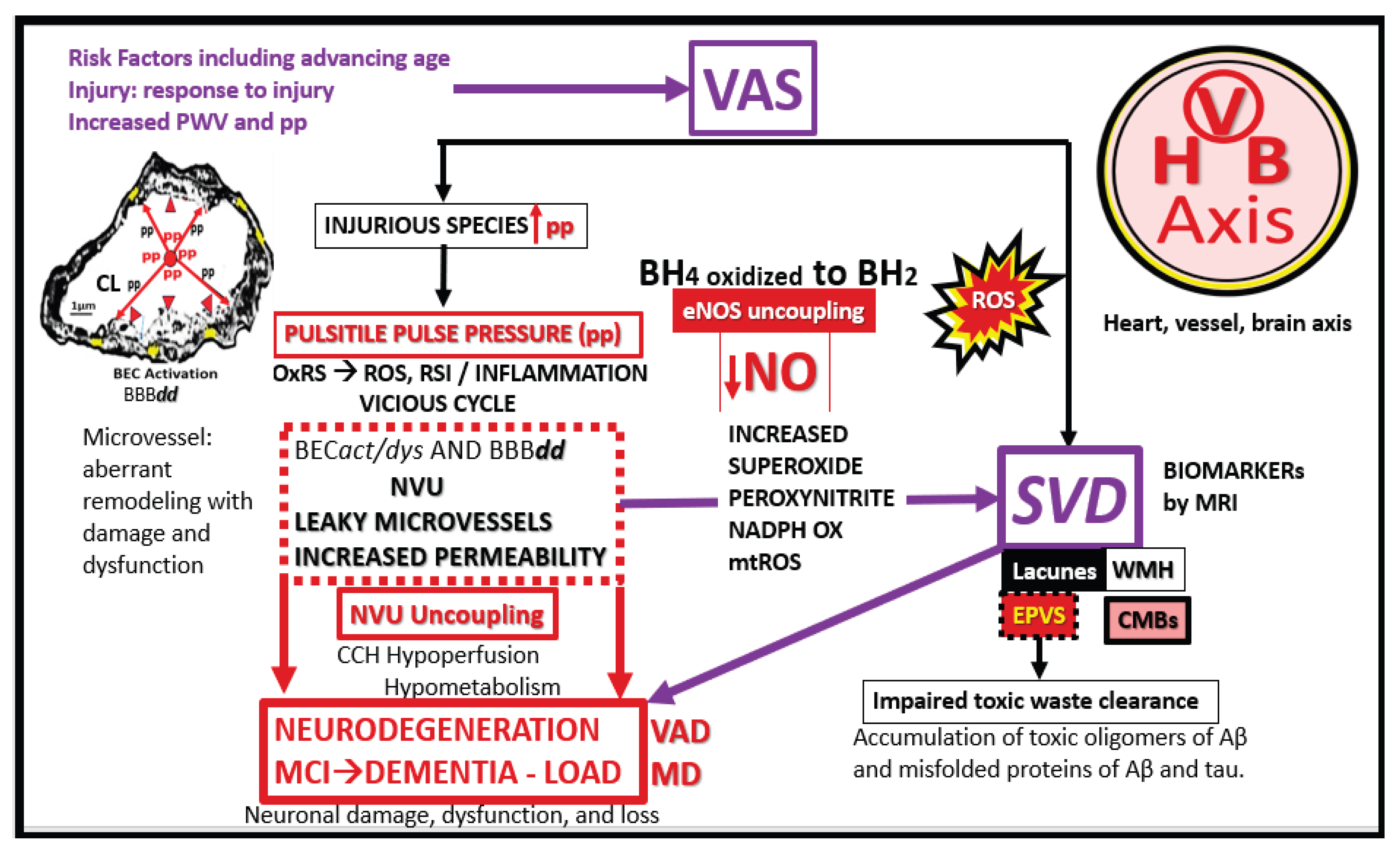 Preprints 171905 g017