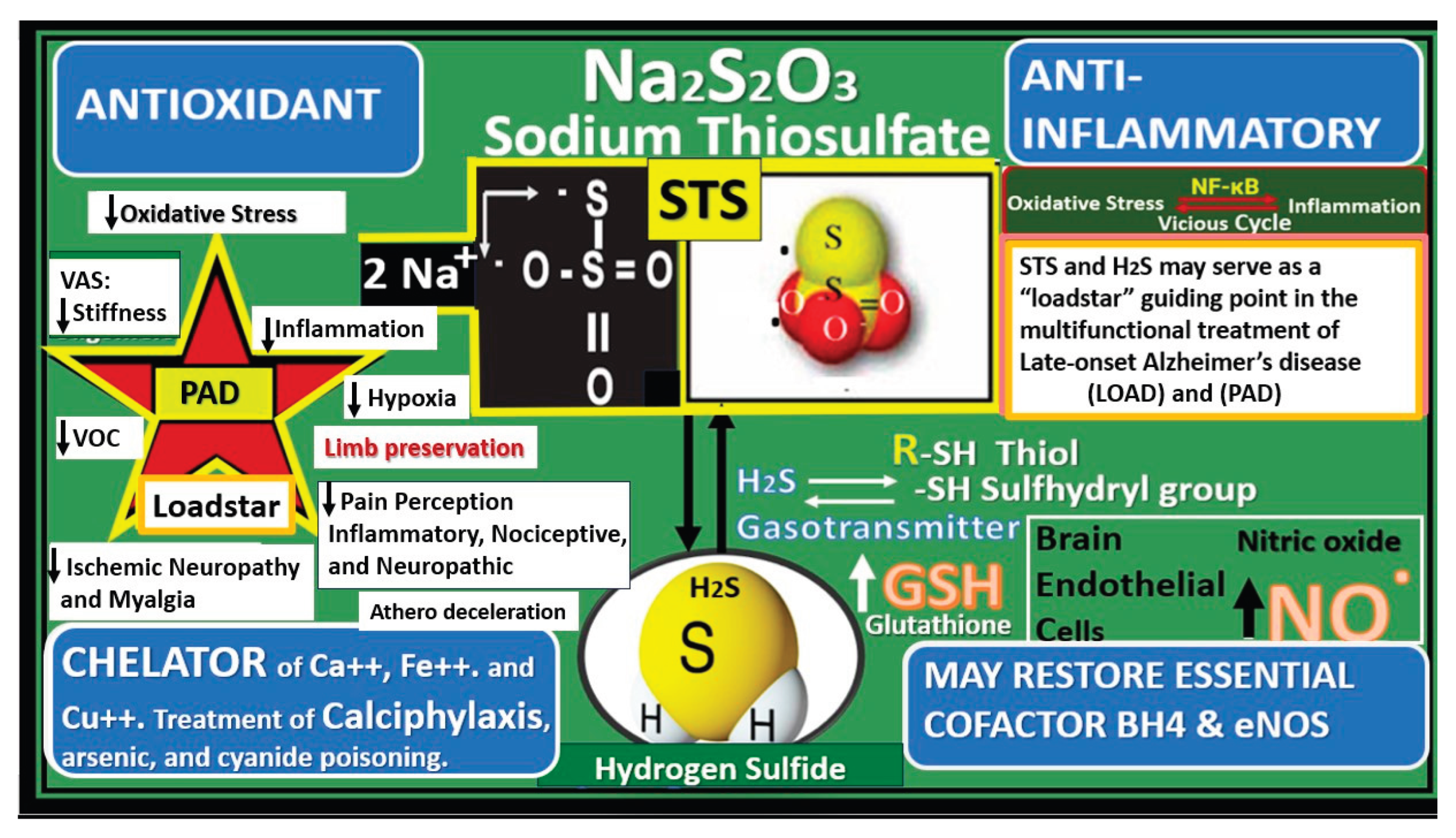Preprints 171905 g019