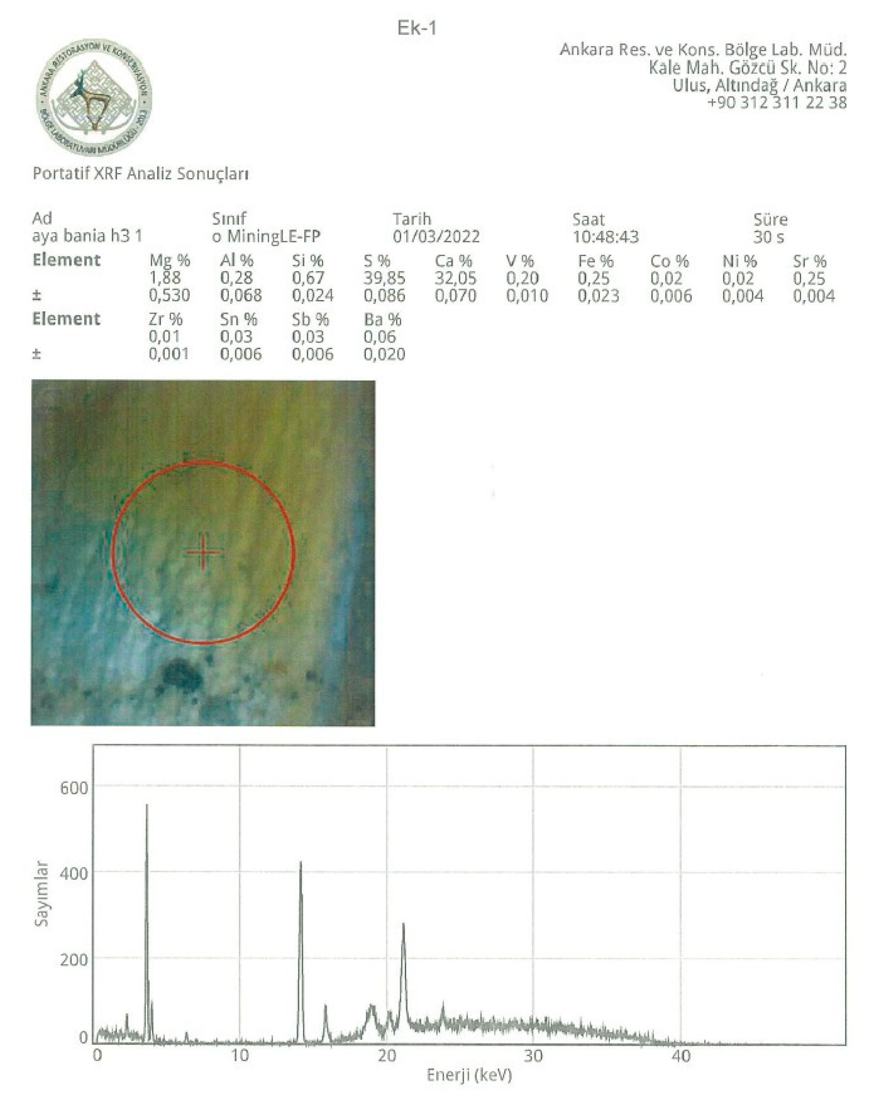 Preprints 192681 g010