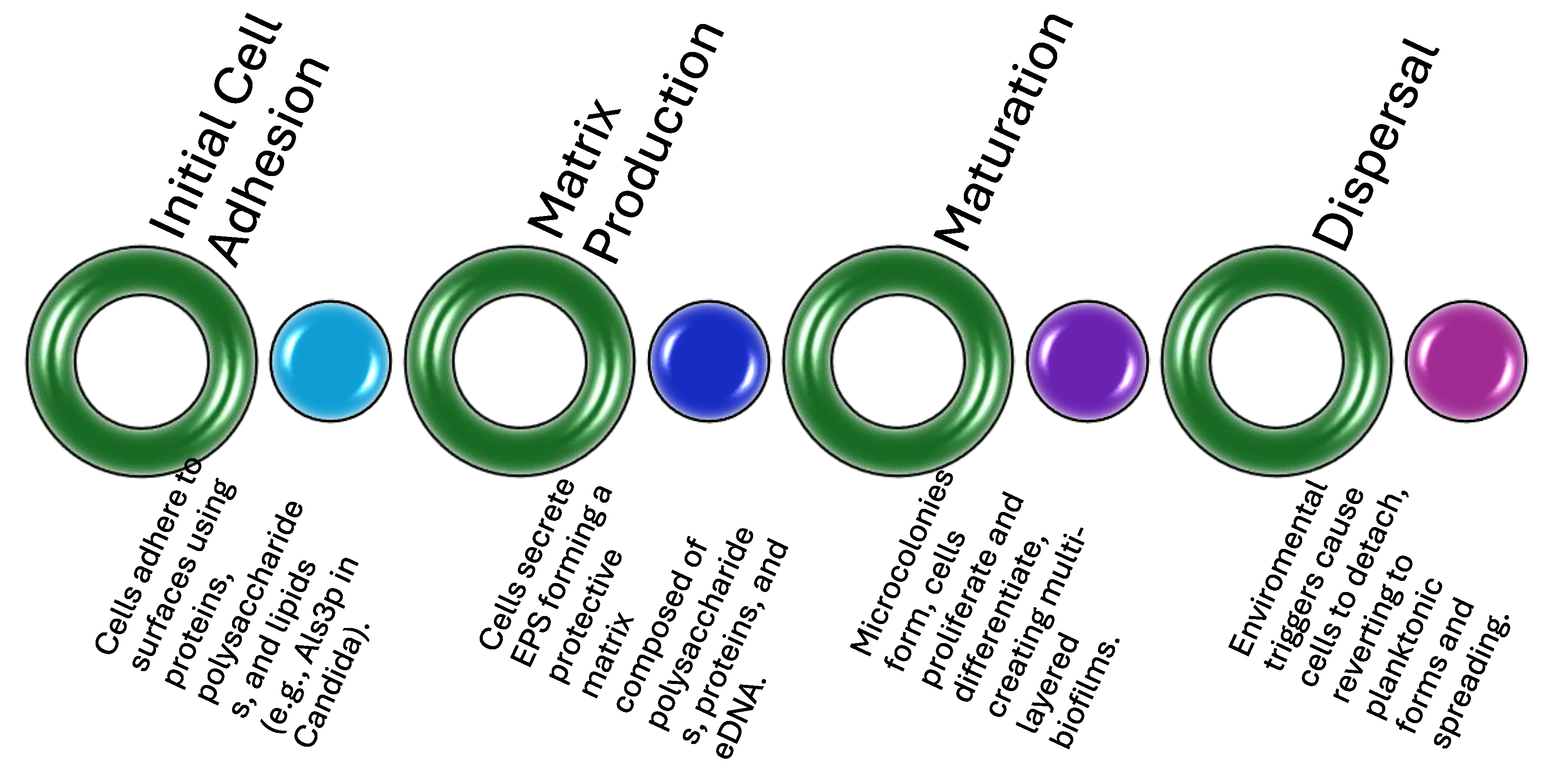 Preprints 118988 g001