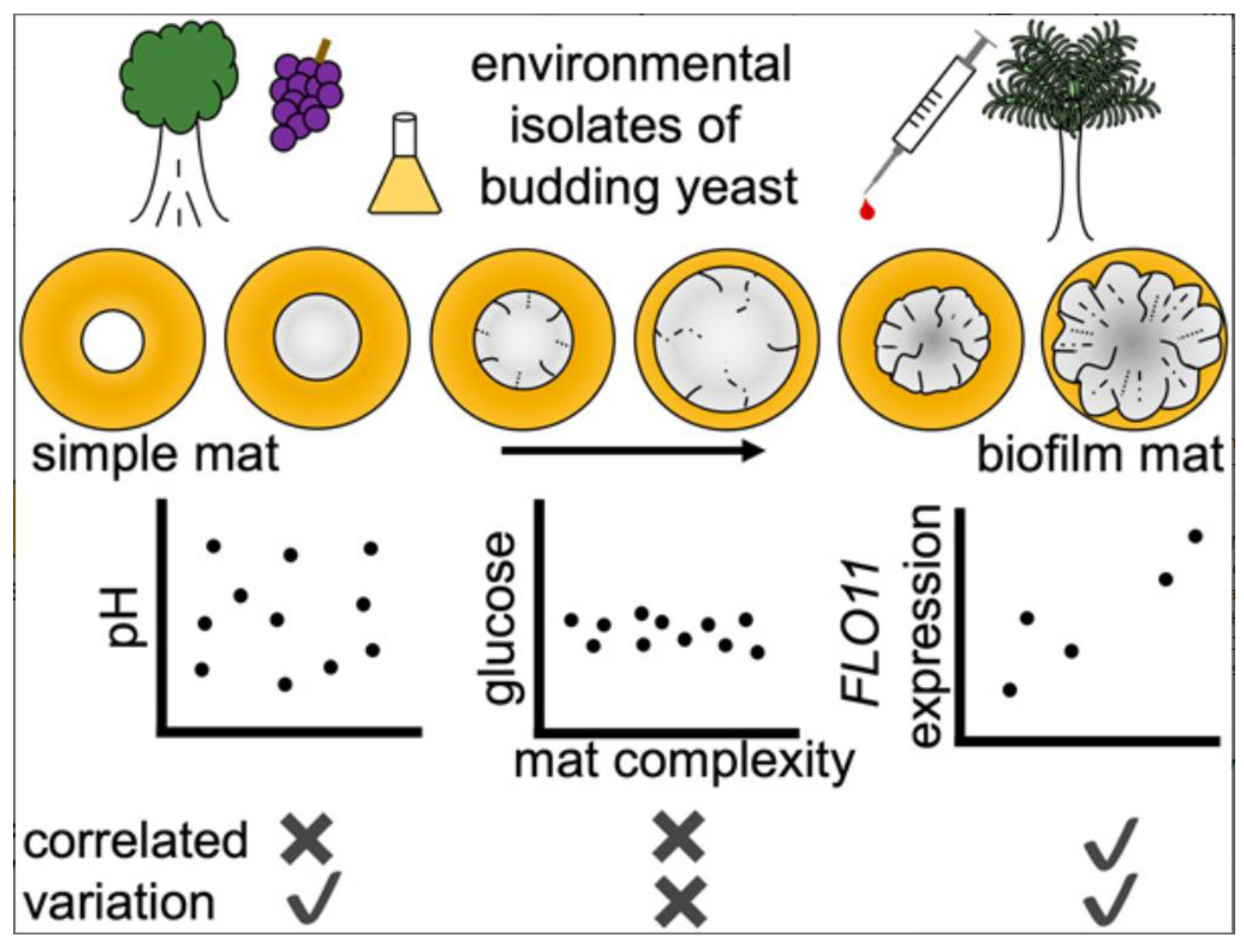 Preprints 118988 g002