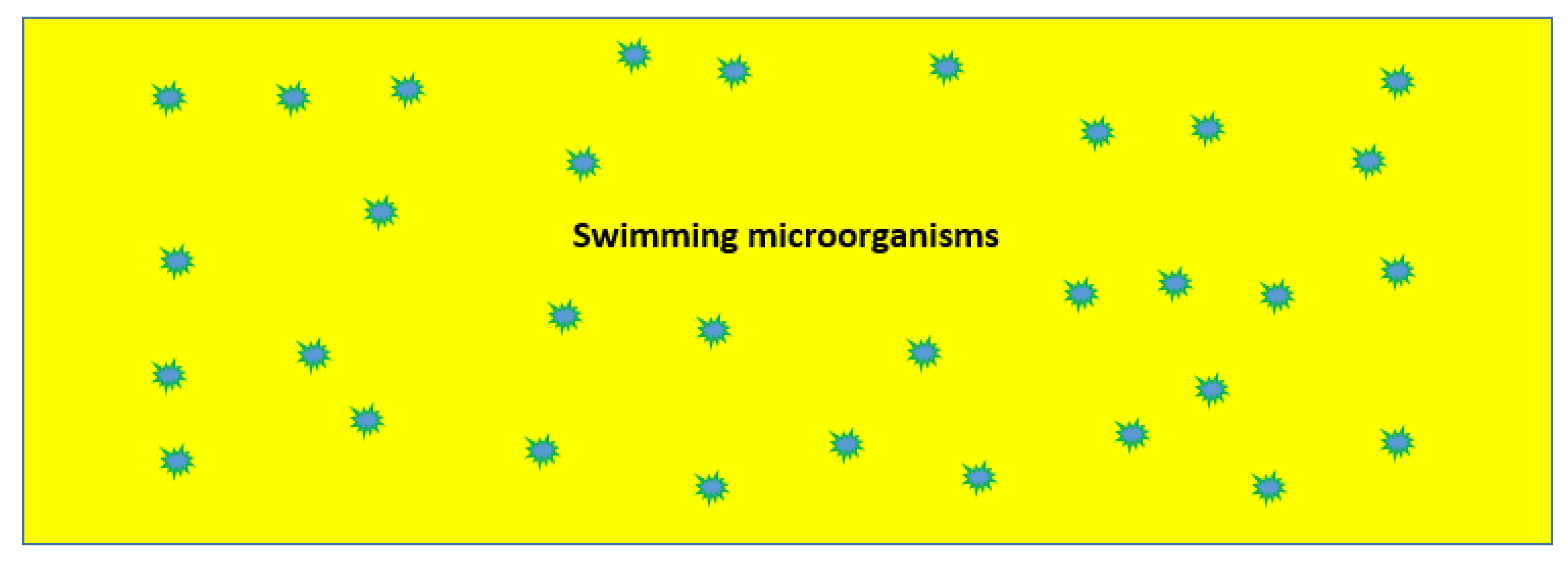 Preprints 156427 g004