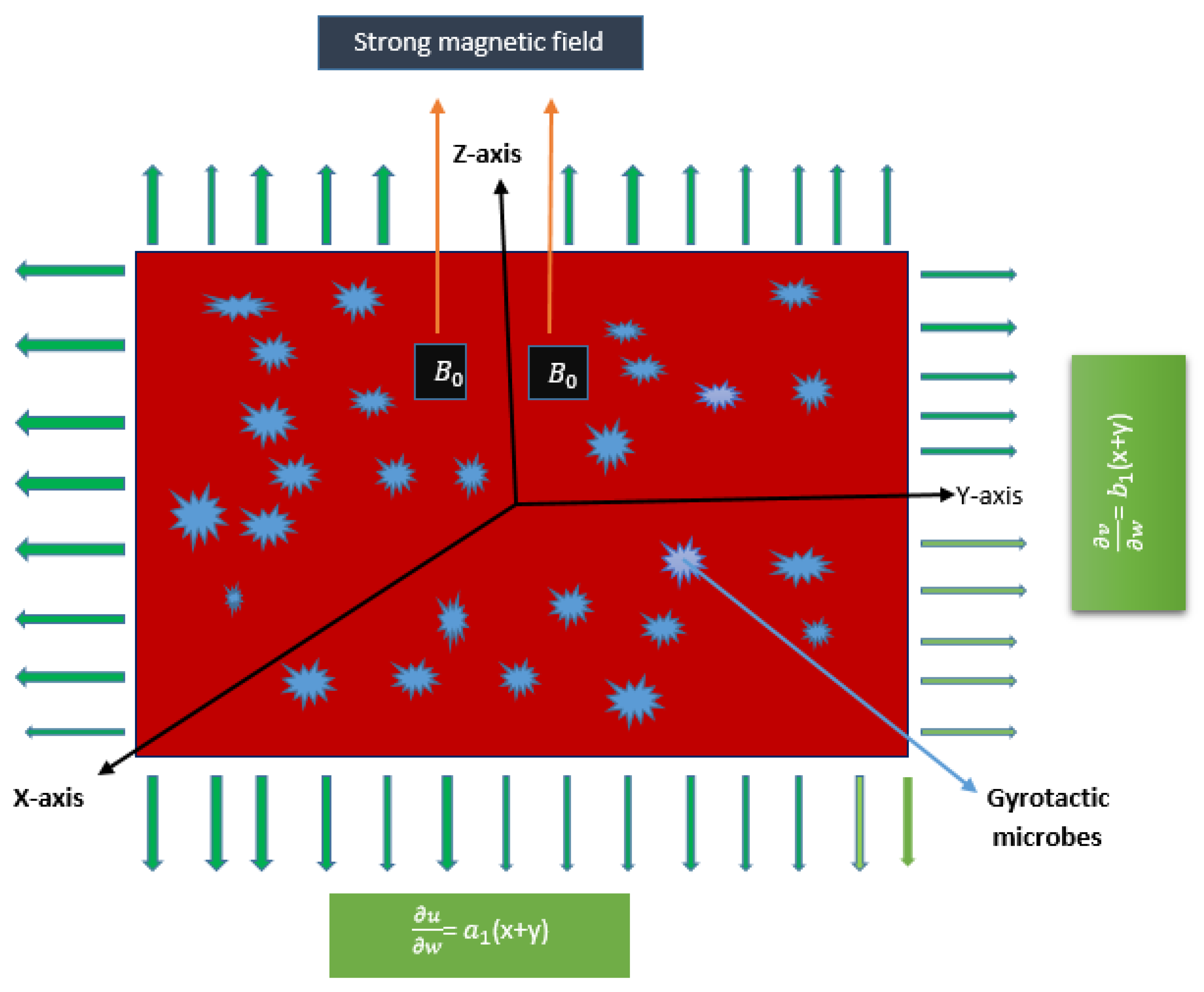 Preprints 156427 g006