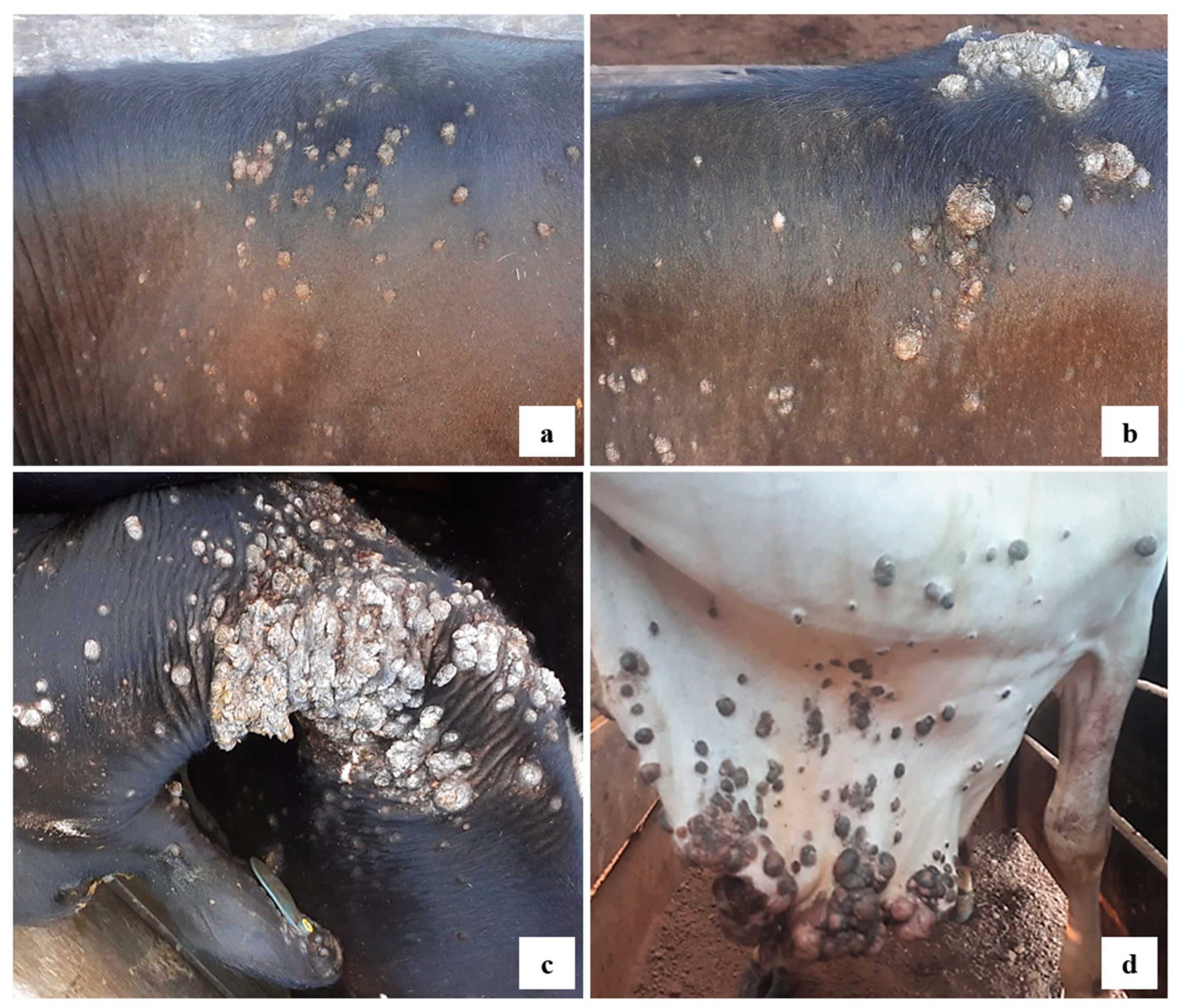 Preprints 155367 g002