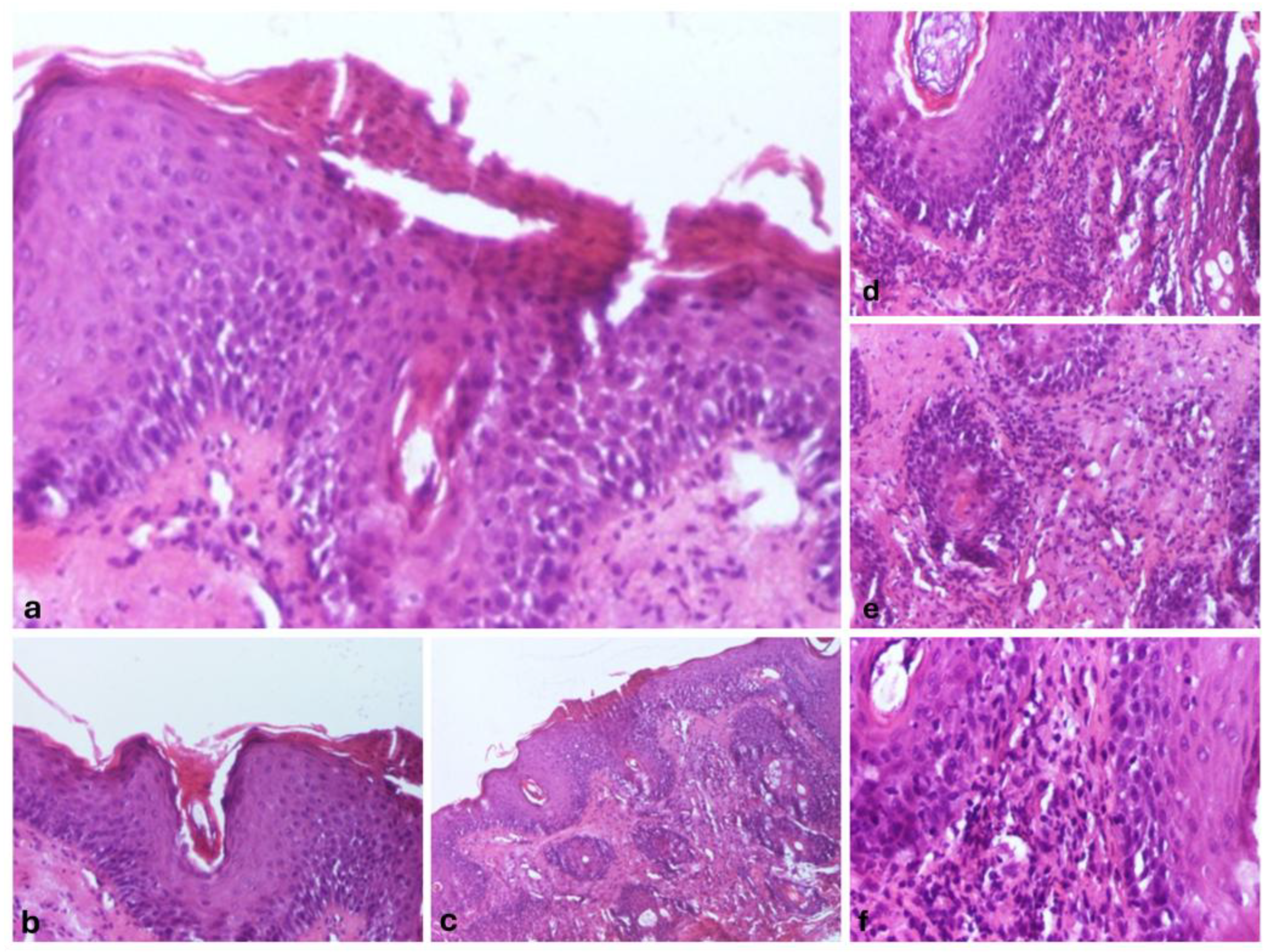 Preprints 148177 g002