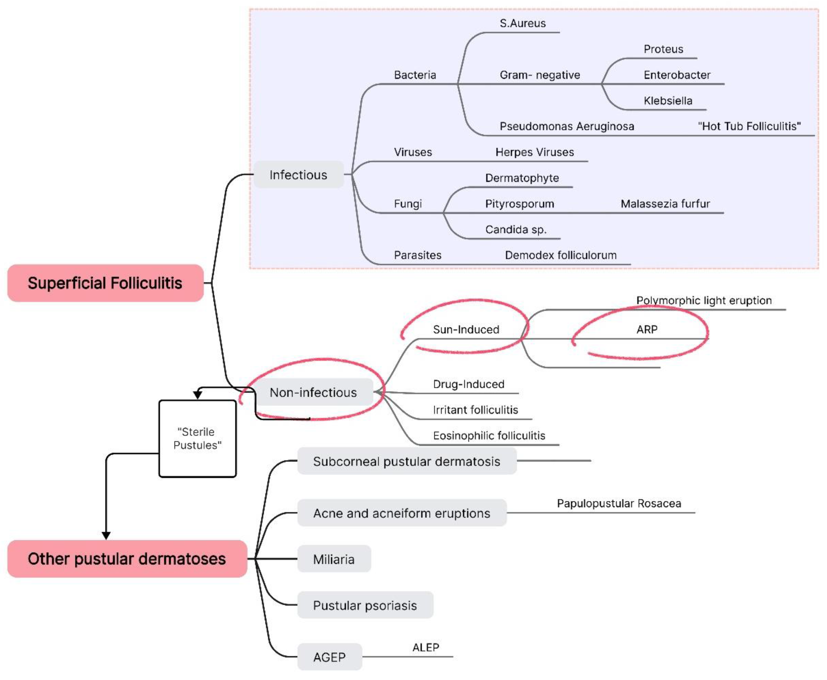 Preprints 148177 g003