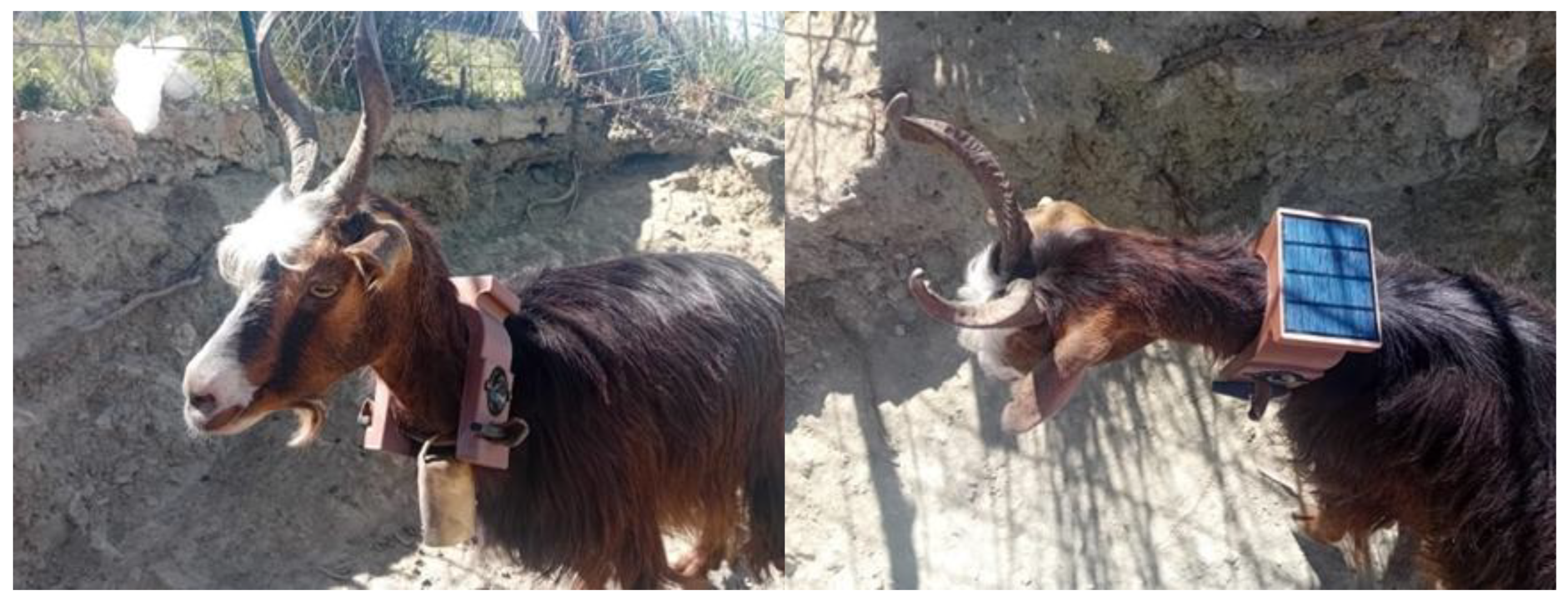 Preprints 179105 g004