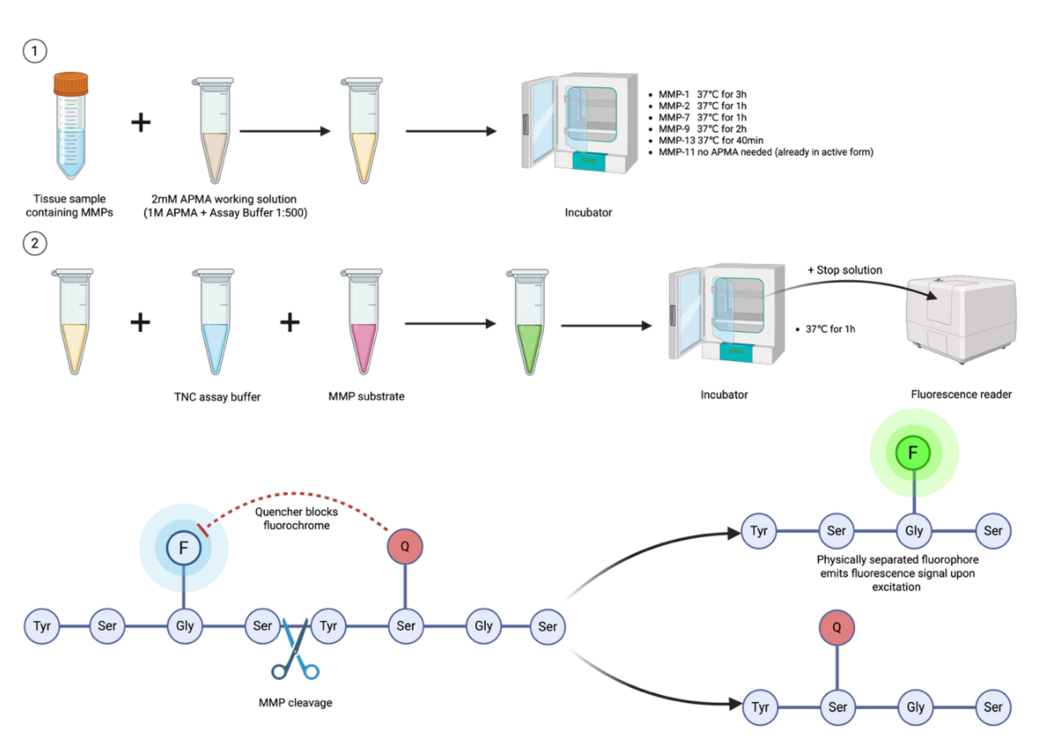Preprints 211919 g003