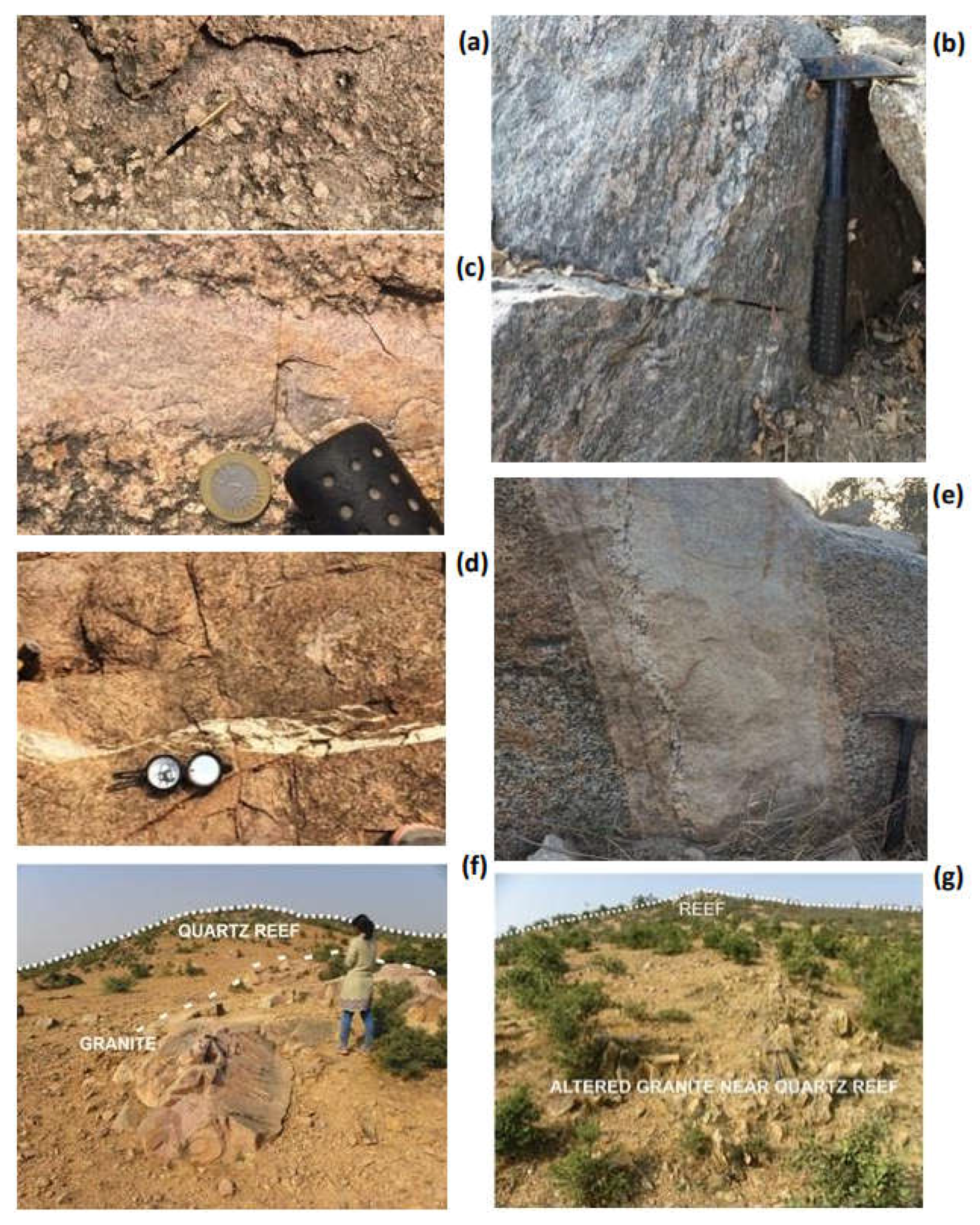 Preprints 154231 g002