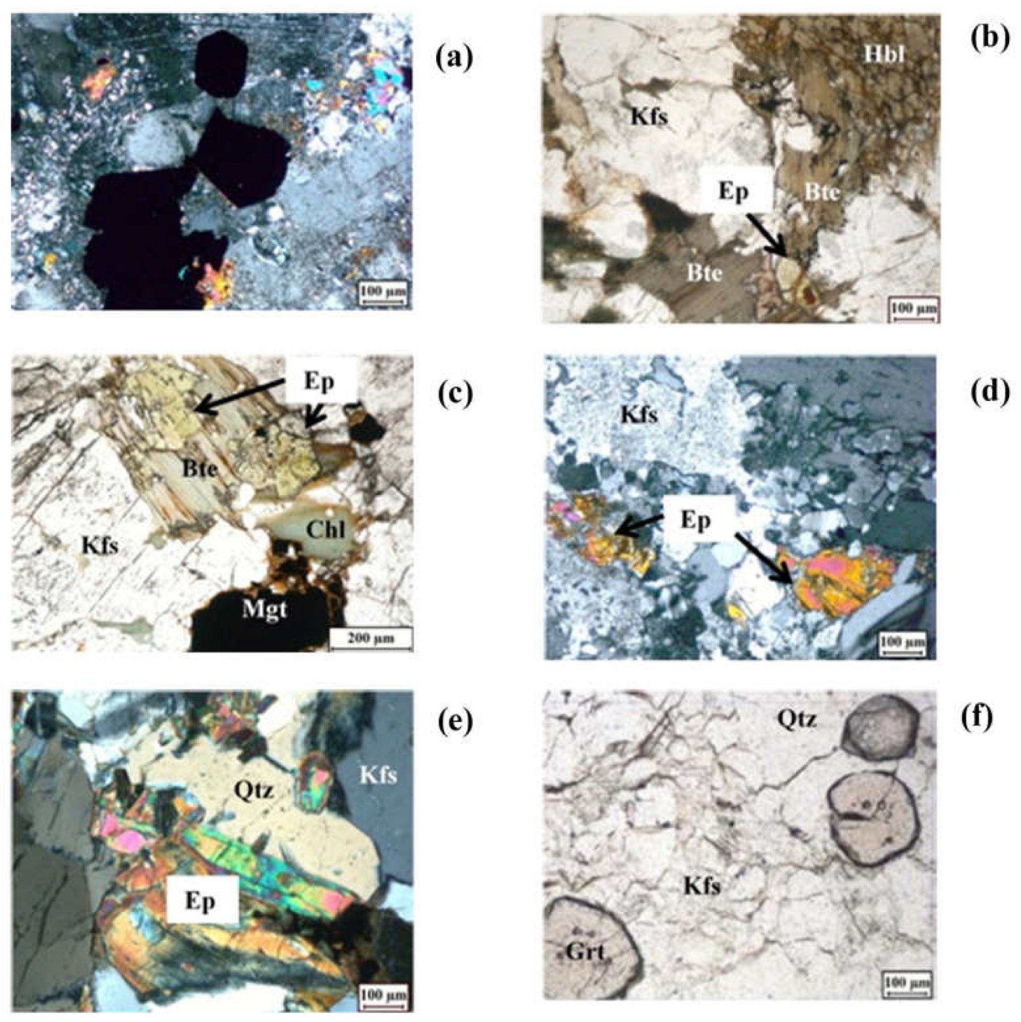 Preprints 154231 g004