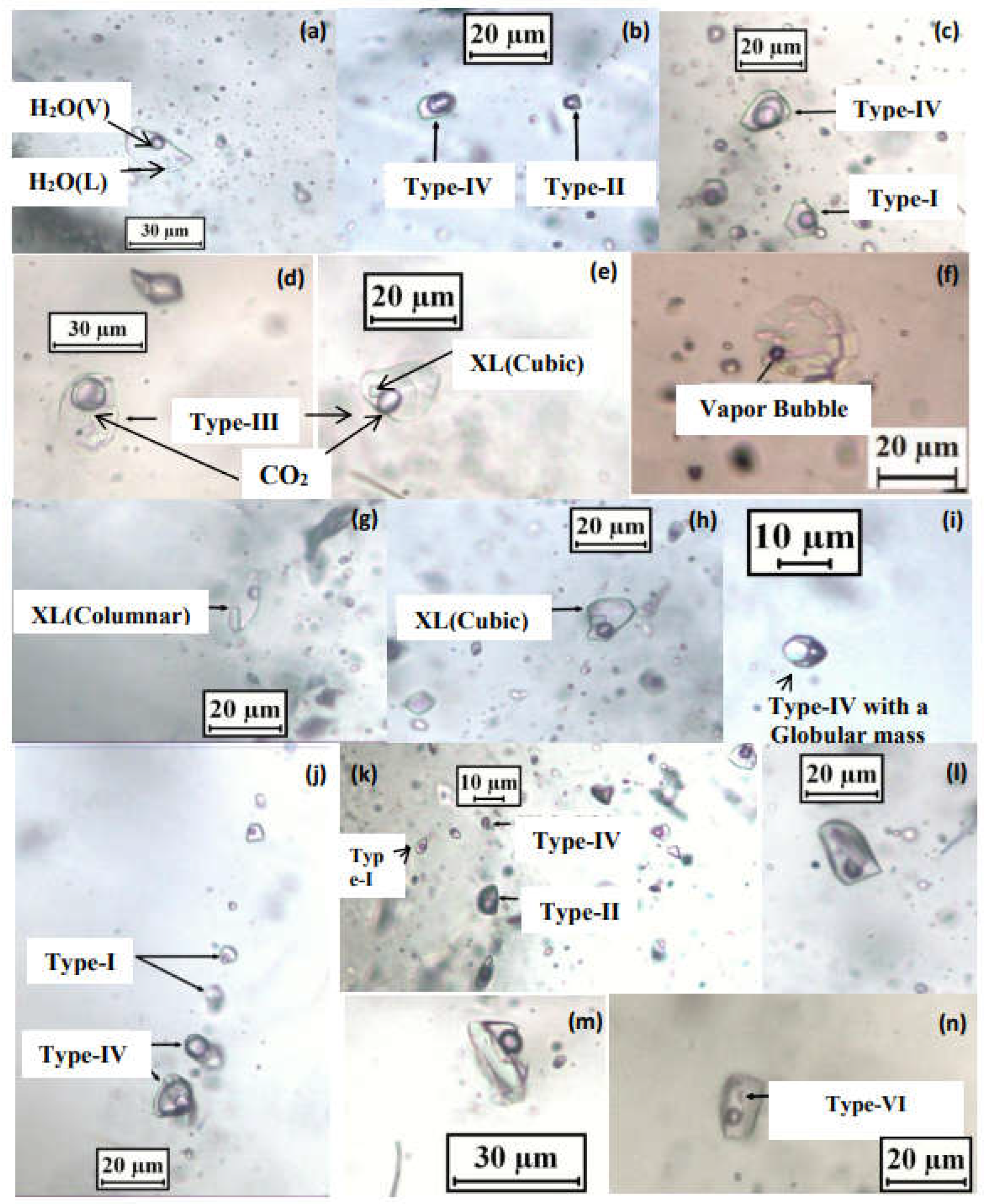 Preprints 154231 g011