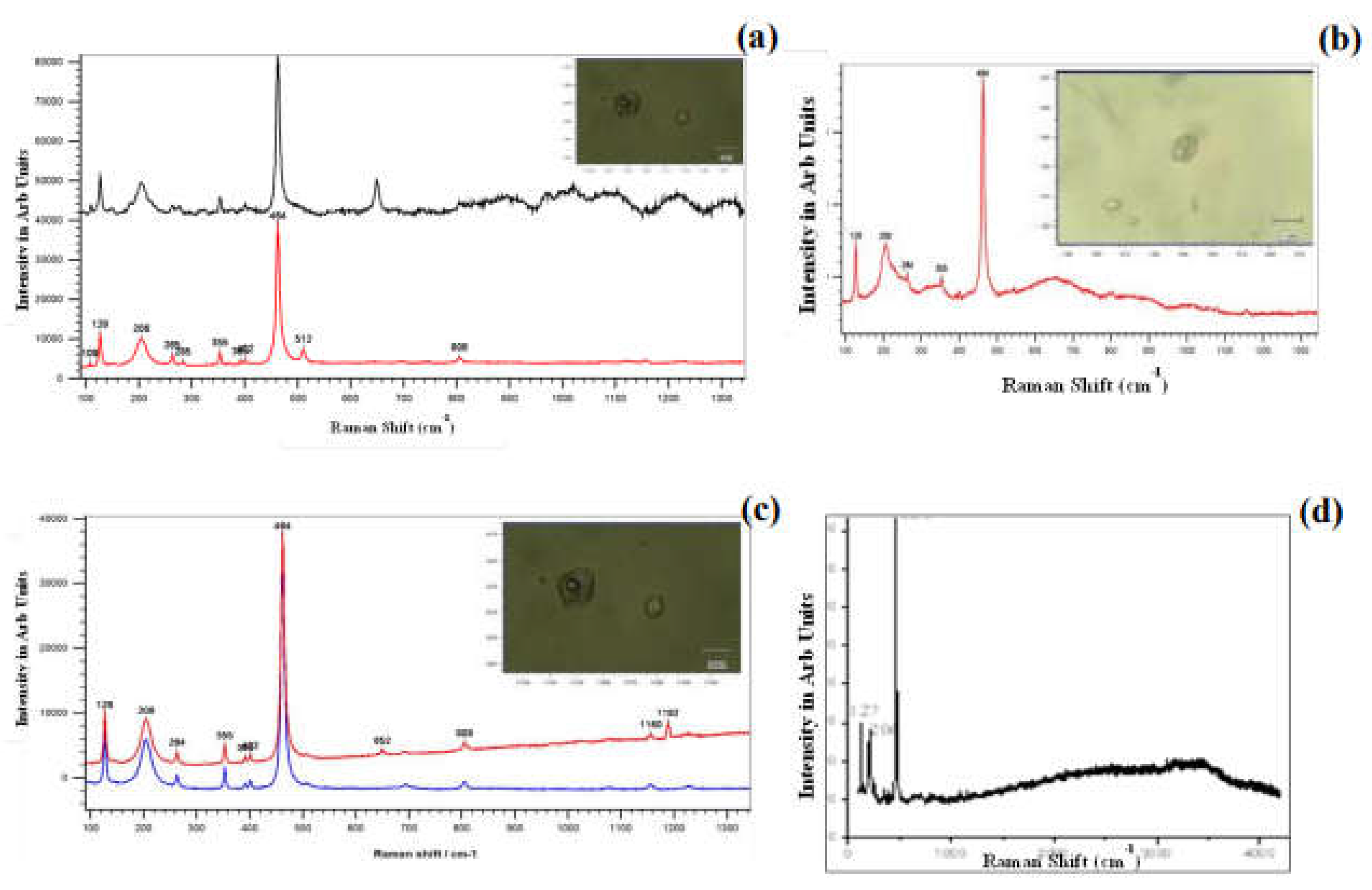 Preprints 154231 g015