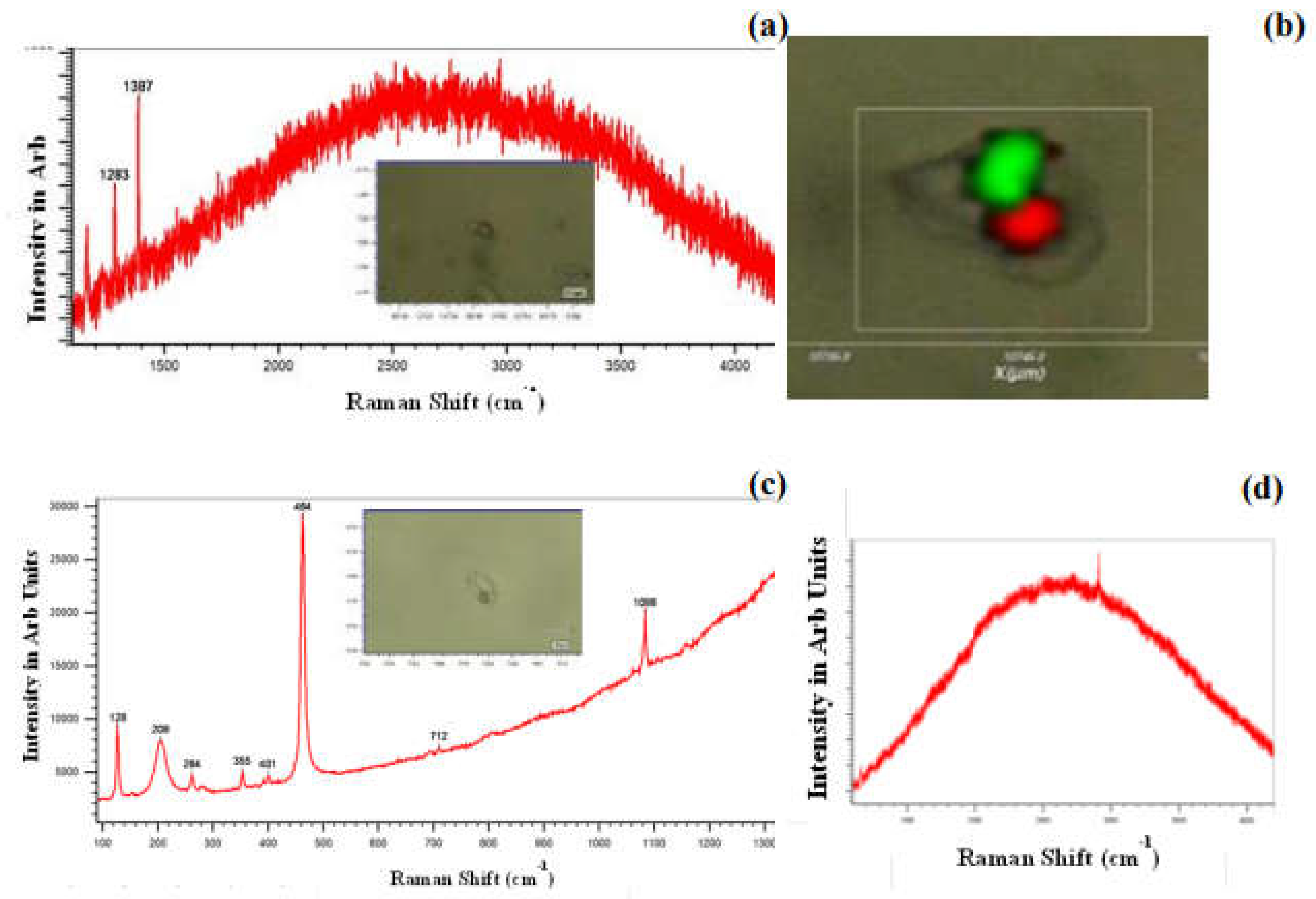 Preprints 154231 g016