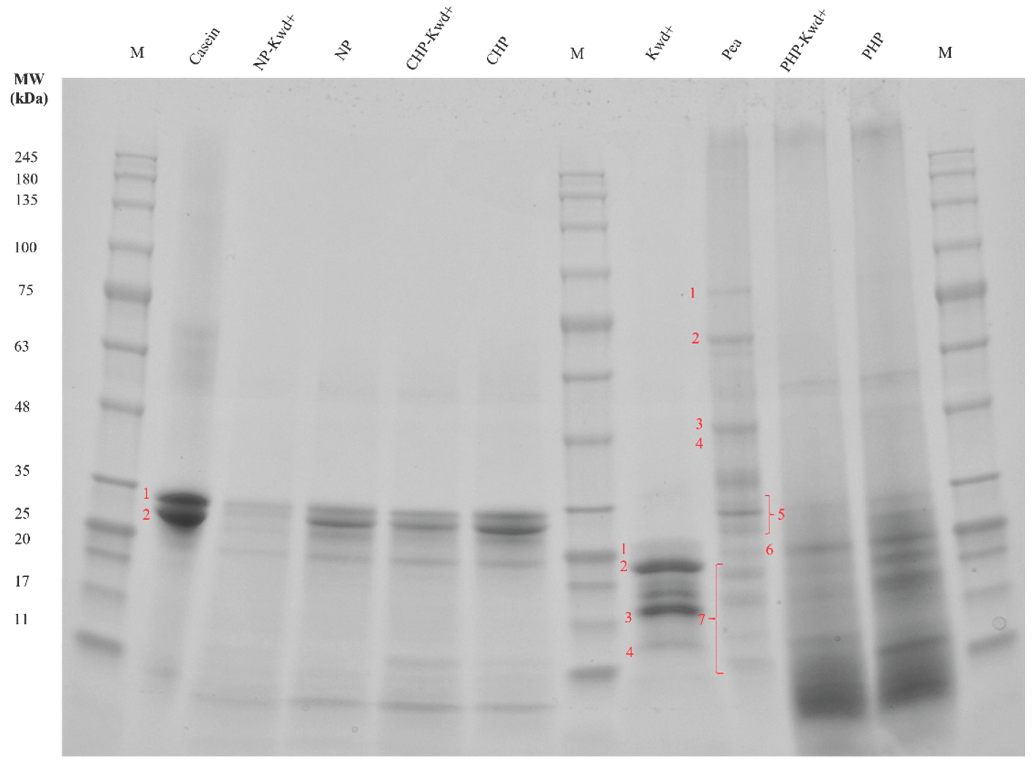 Preprints 206979 g001