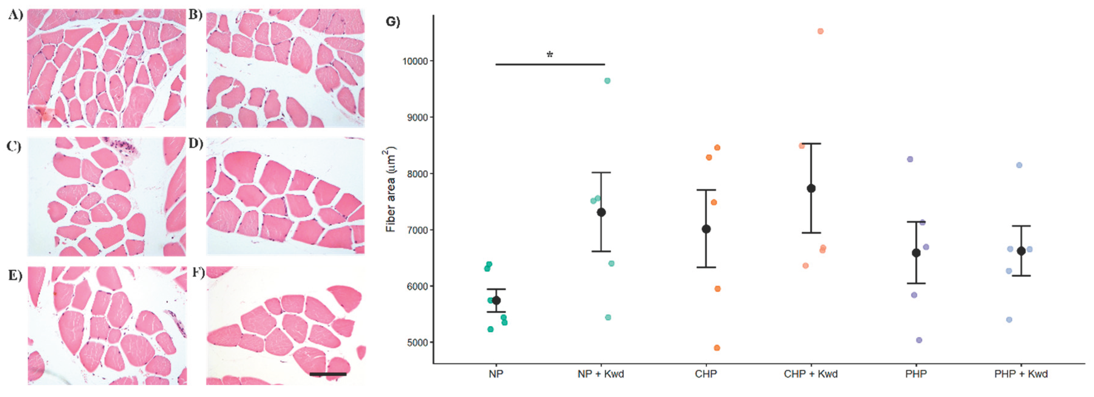 Preprints 206979 g003