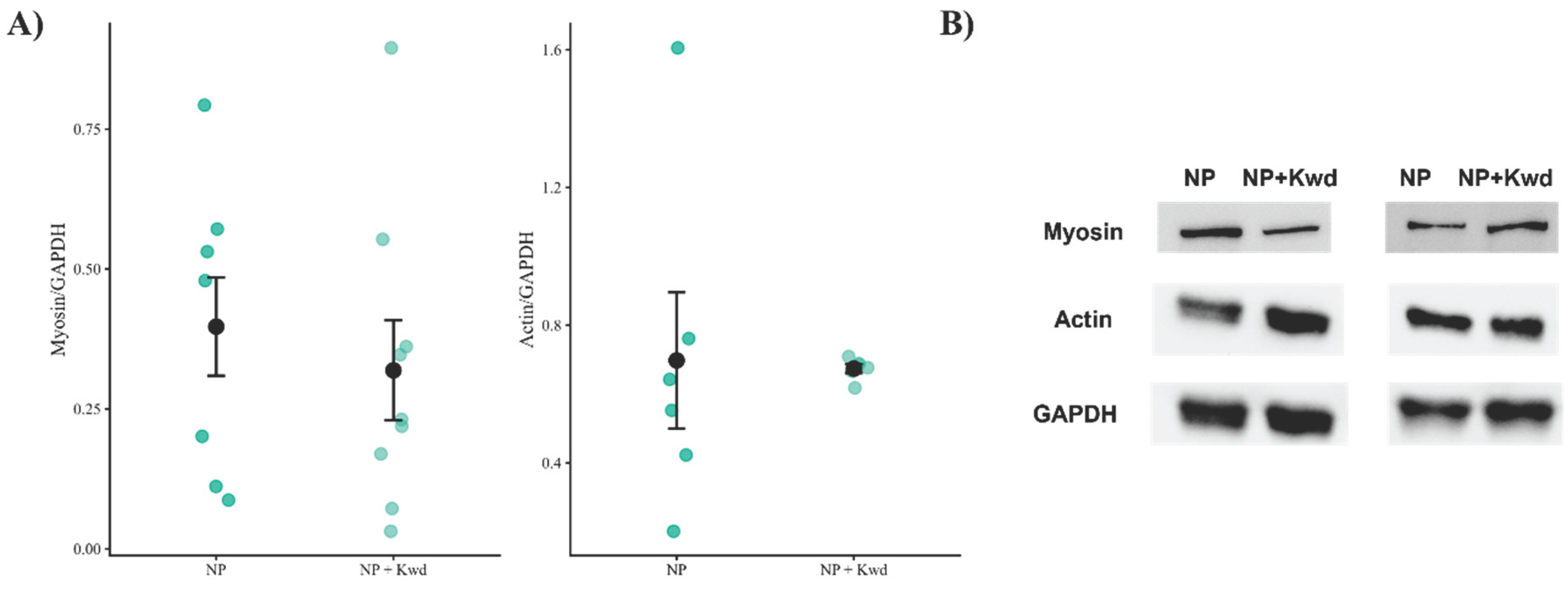 Preprints 206979 g005