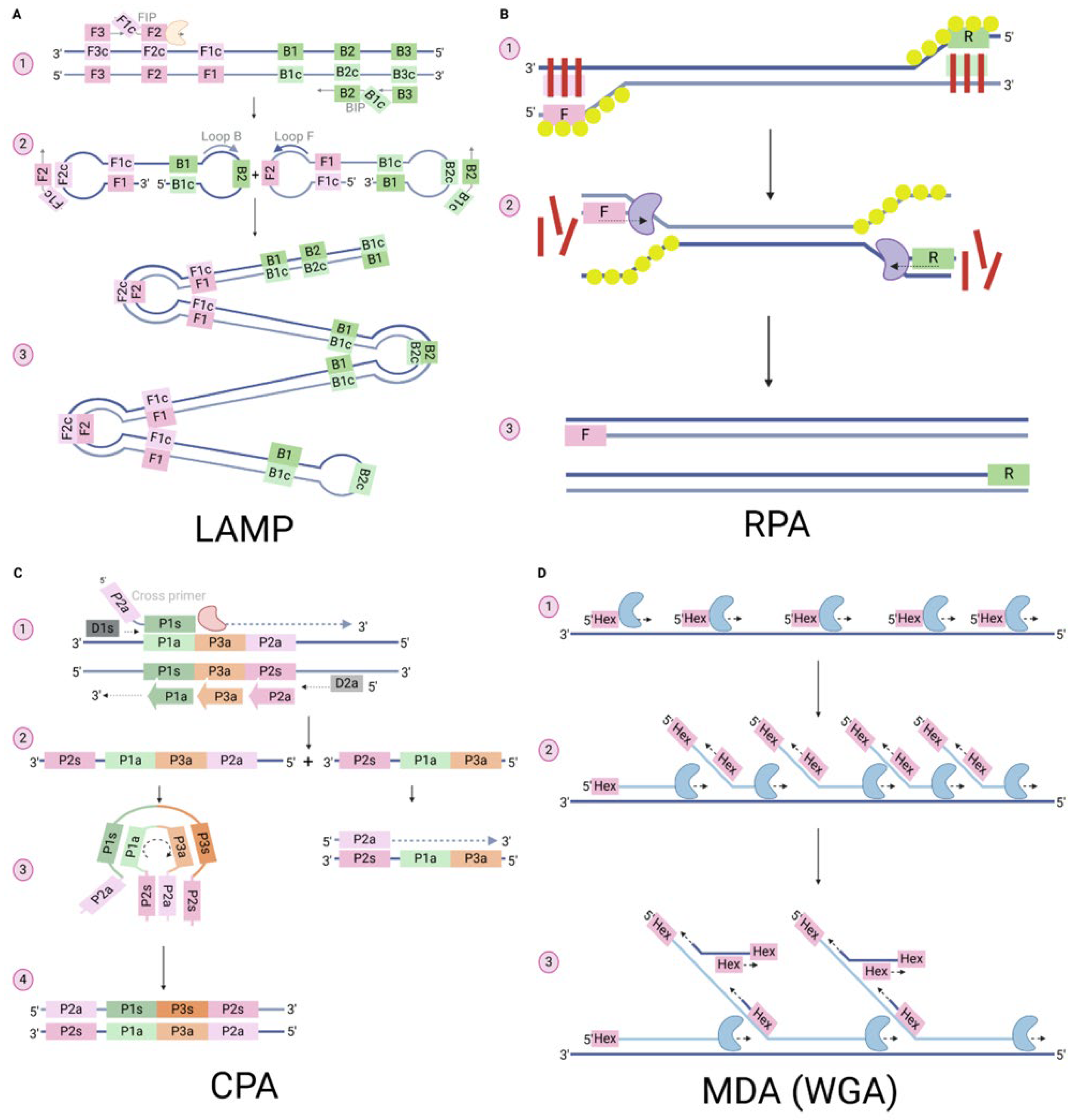 Preprints 155455 g002