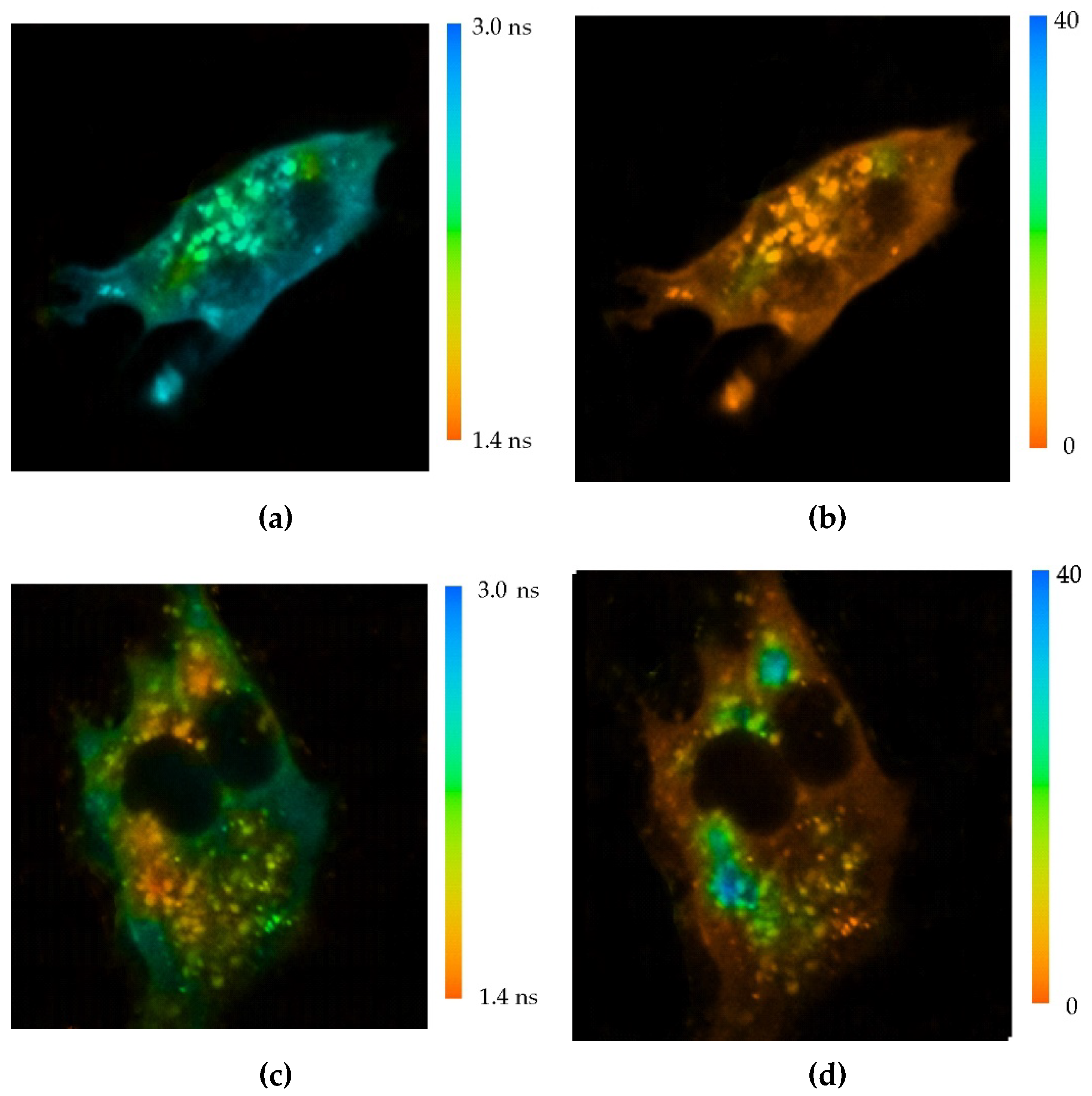 Preprints 89761 g003a