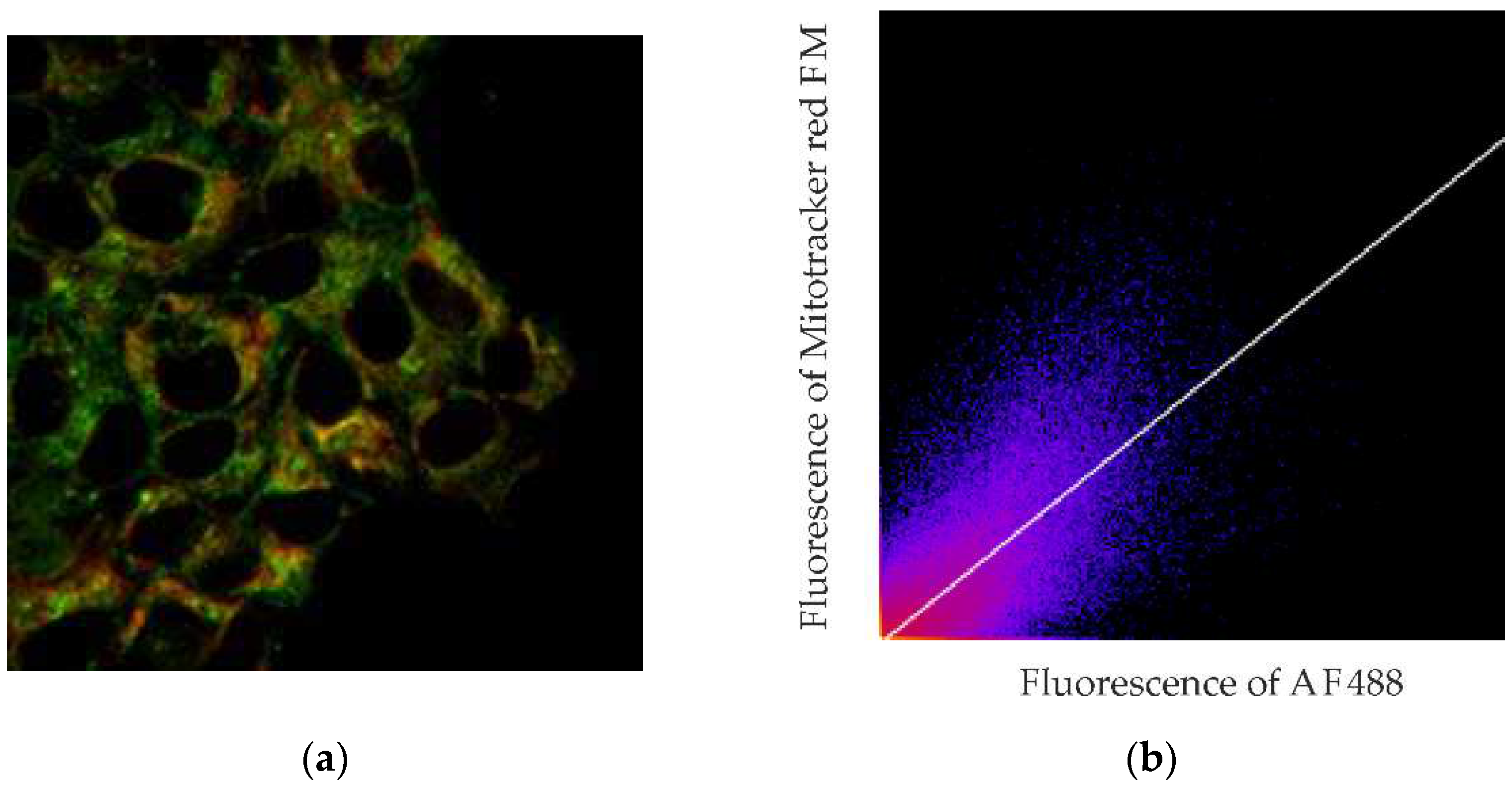 Preprints 89761 g007