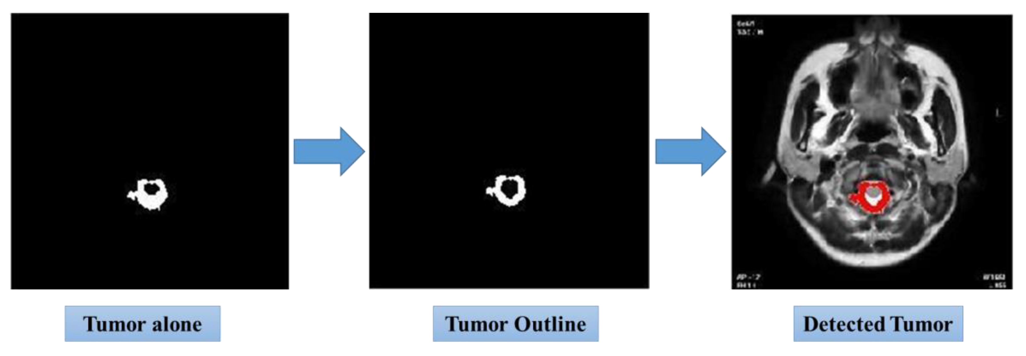 Preprints 151927 g009